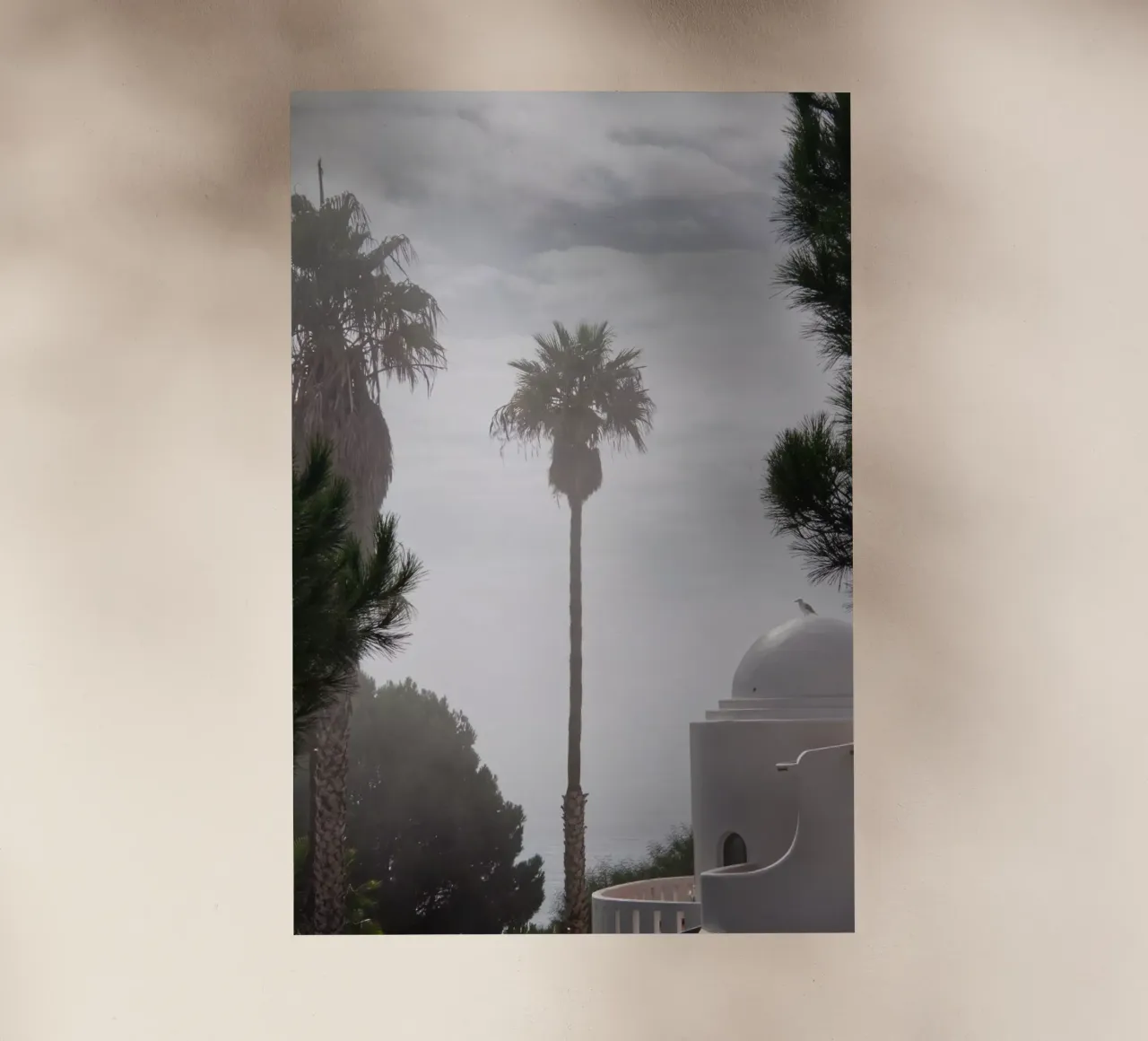 Palm tree pellicola backlit da Fjöllart