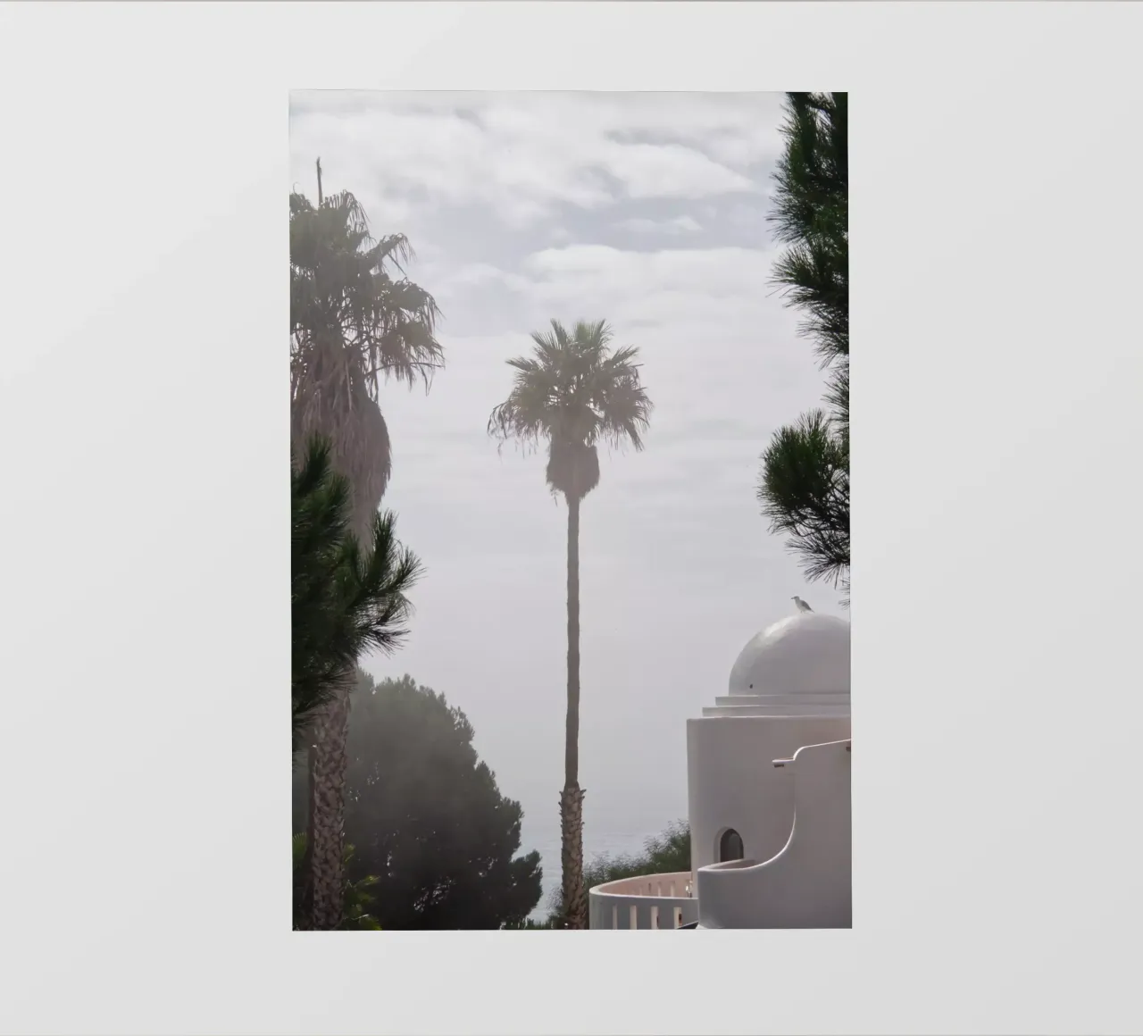 Palm tree telo in pvc da Fjöllart