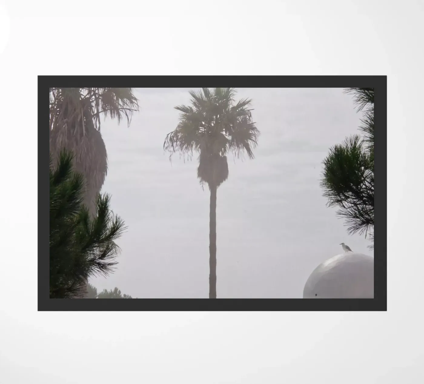 Palm tree Fußmatte von Fjöllart