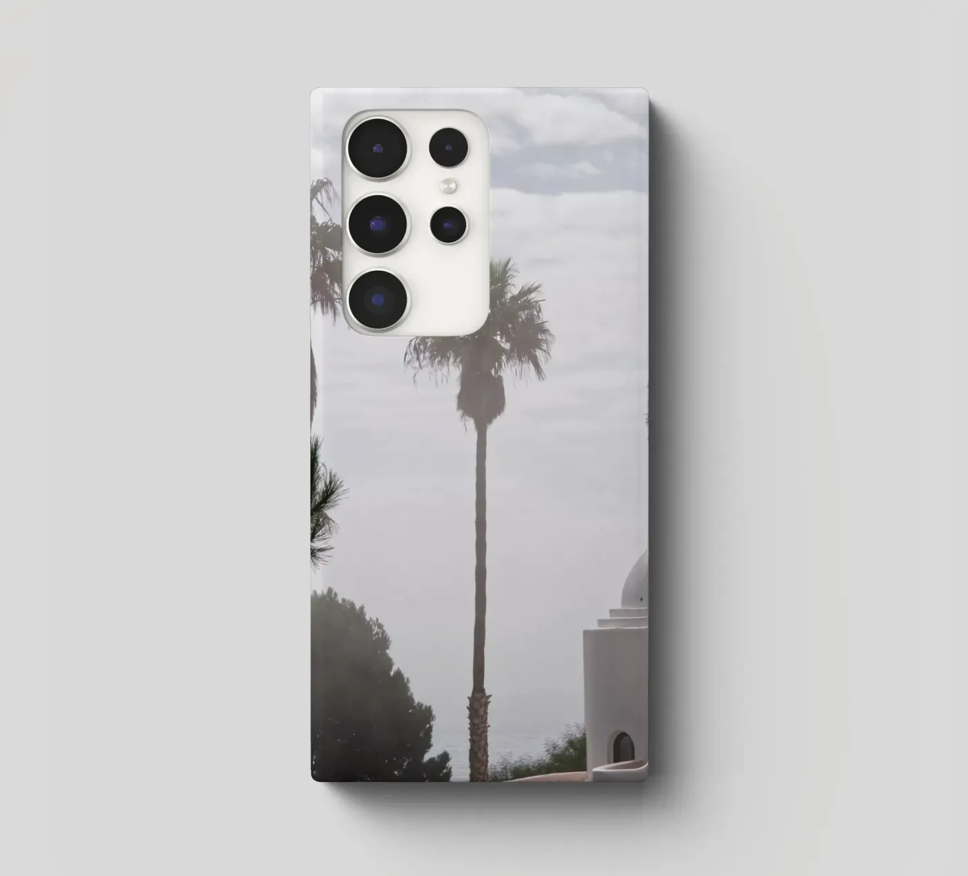 Palm tree cover samsung da Fjöllart