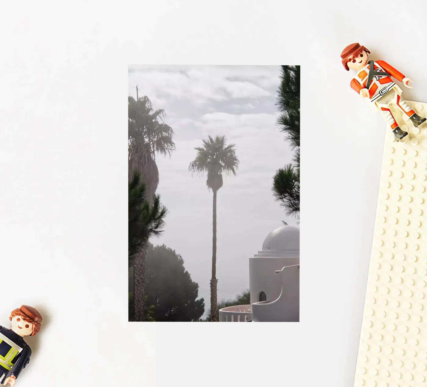 Palm tree sticker by Fjöllart