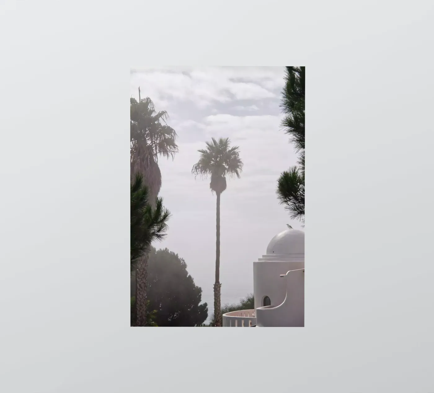 Palm tree sticker by Fjöllart