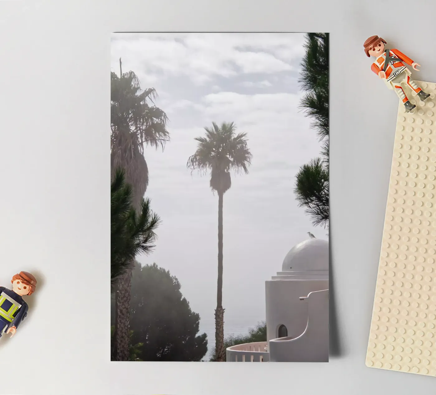 Palm tree sticker sheet by Fjöllart