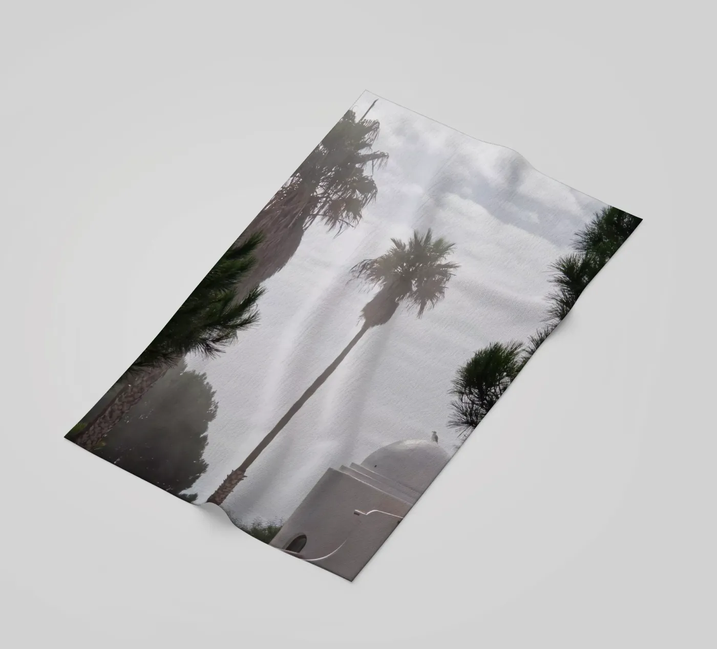 Palm tree telo mare da Fjöllart