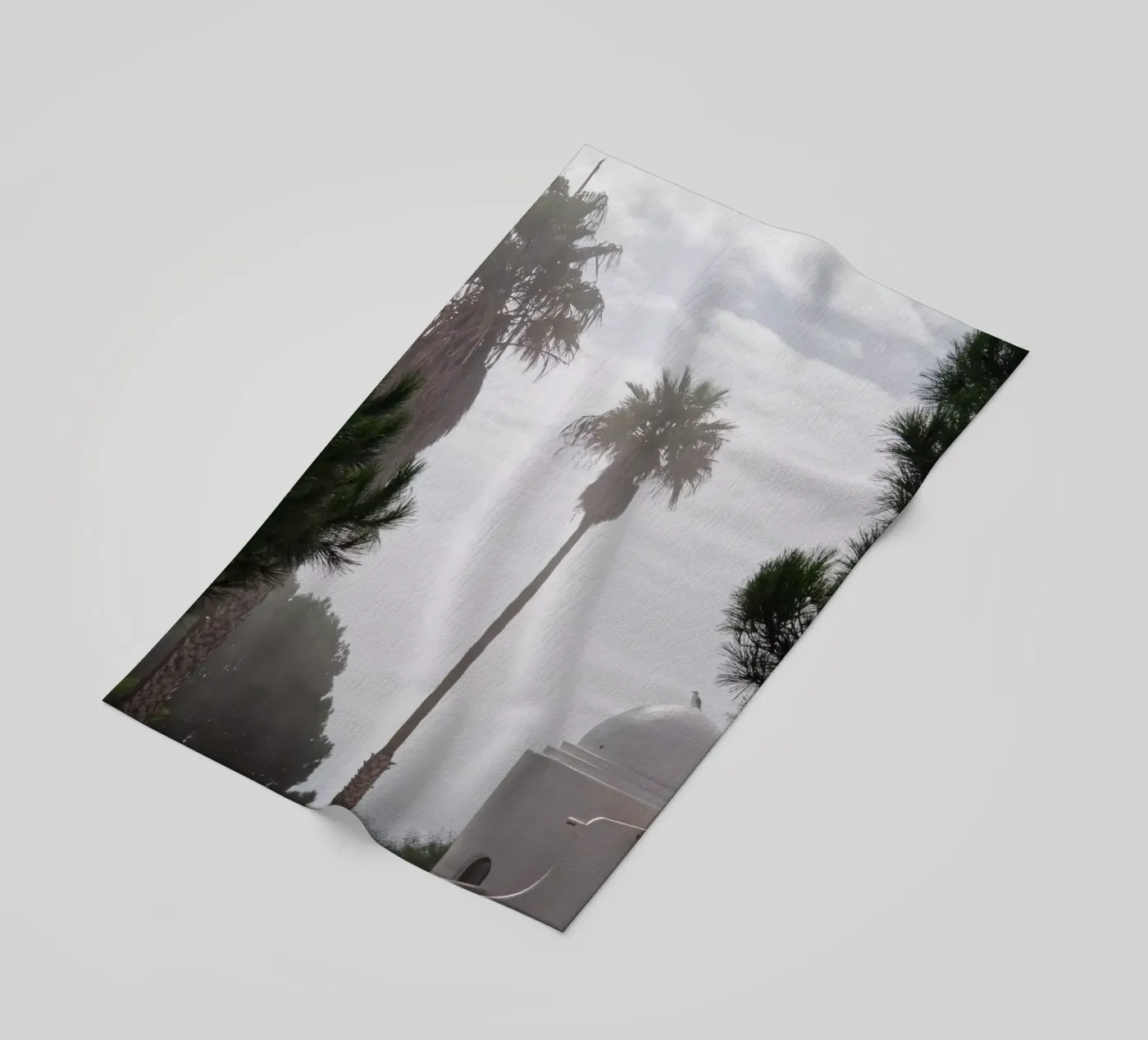 Palm tree telo mare da Fjöllart