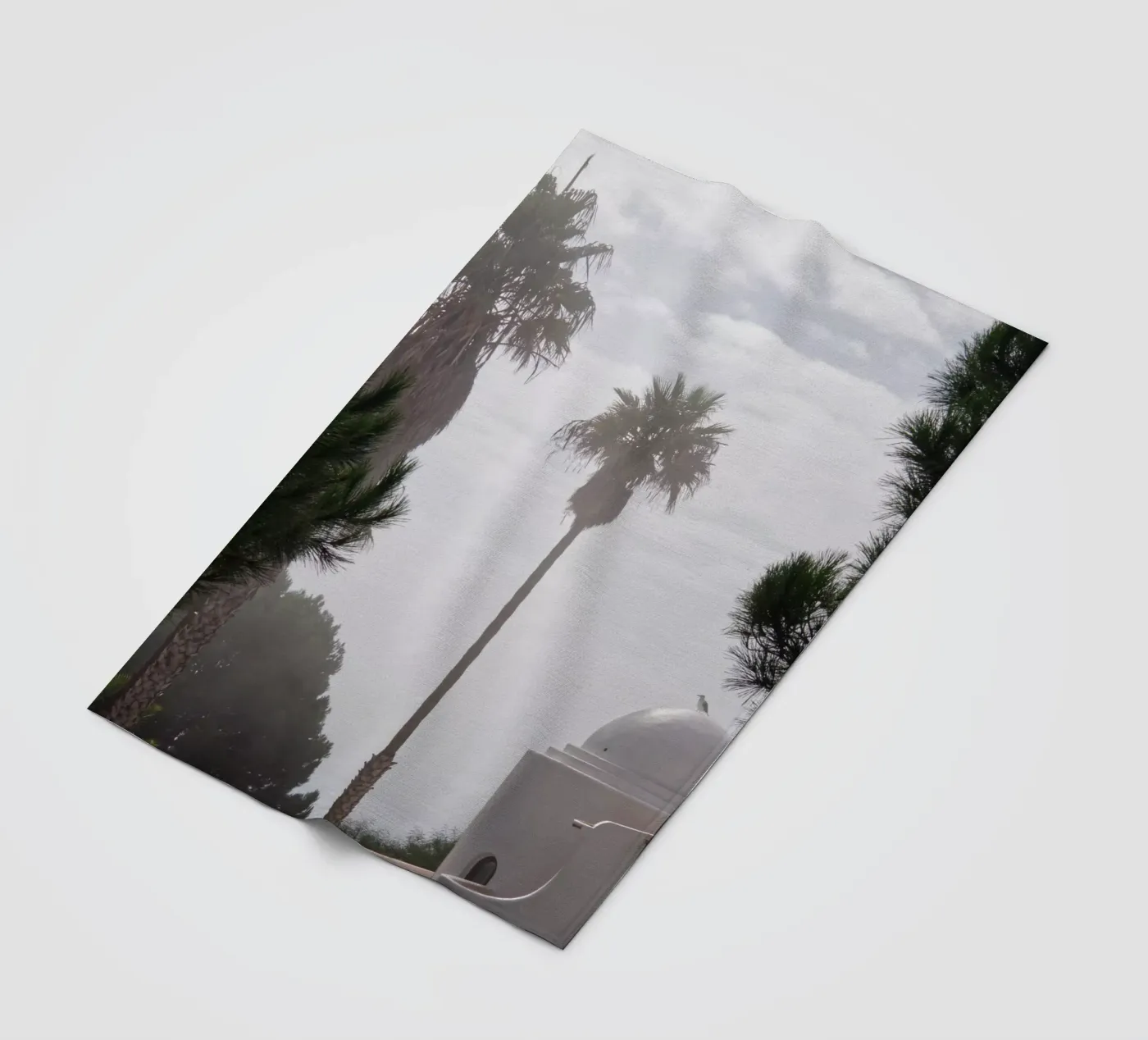 Palm tree fleecedeken van Fjöllart