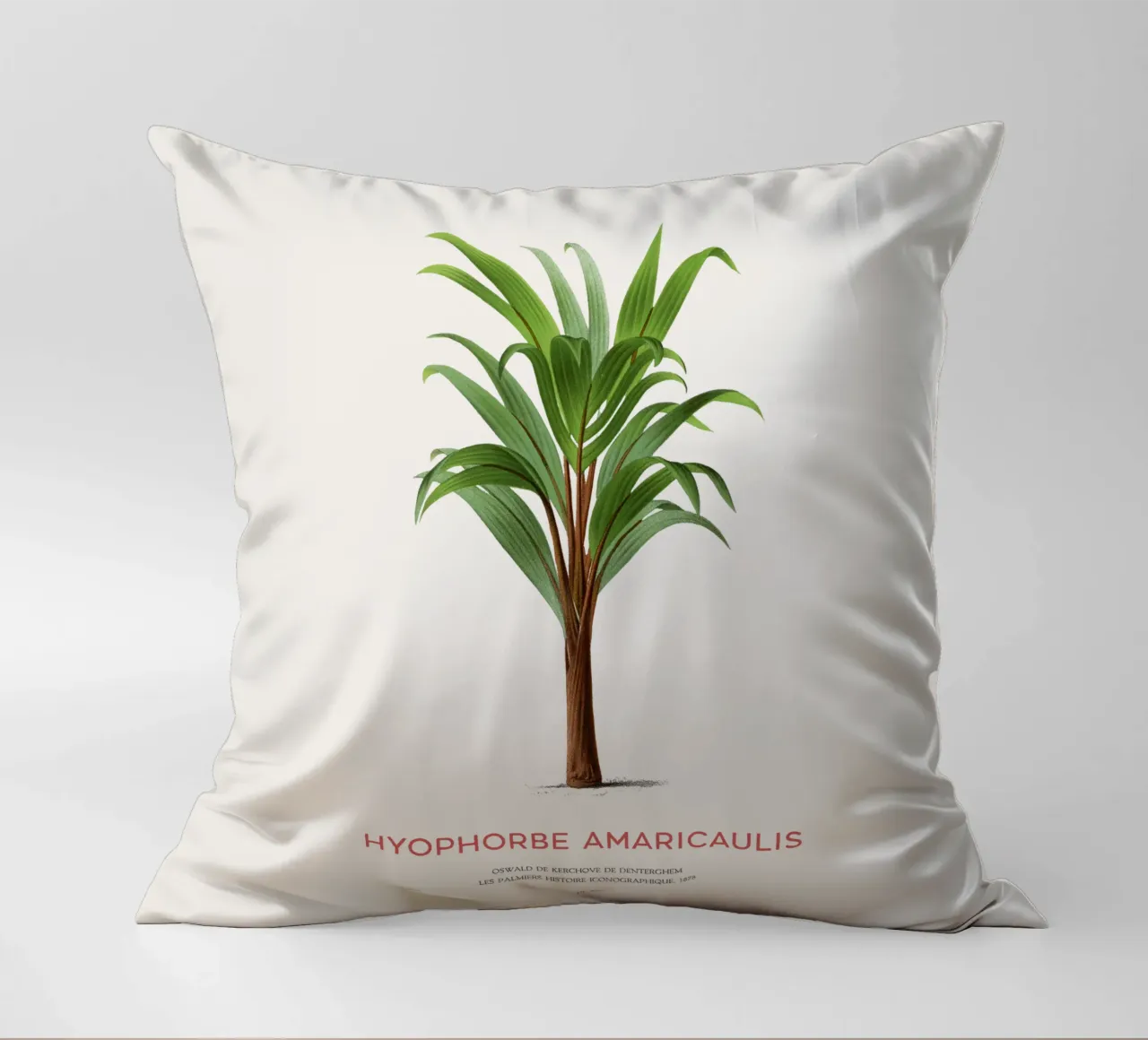 Loneliest palm or Hyophorbe Amaricaulis decorative cushion by Vintagrafica