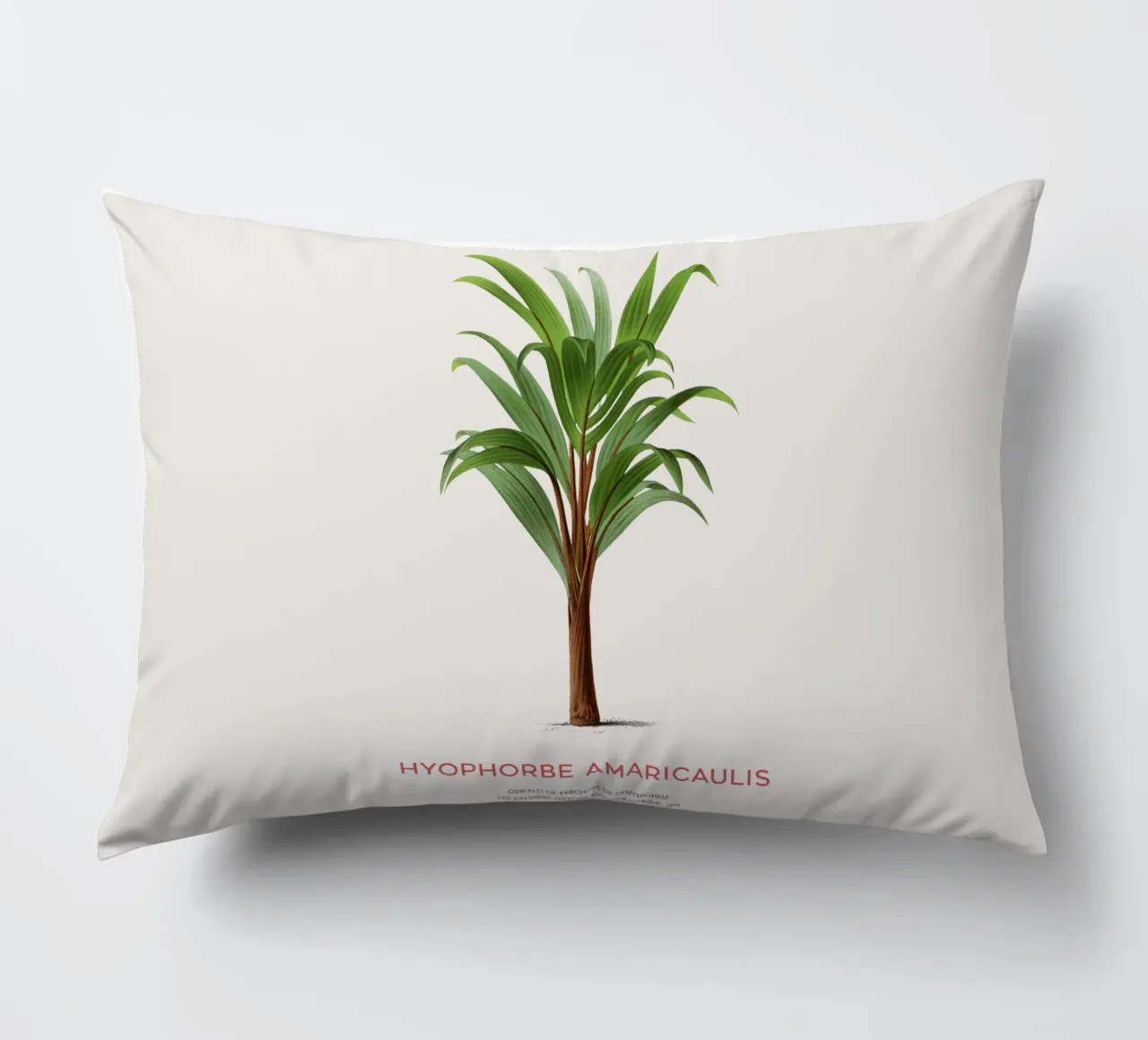 Loneliest palm or Hyophorbe Amaricaulis decorative cushion by Vintagrafica