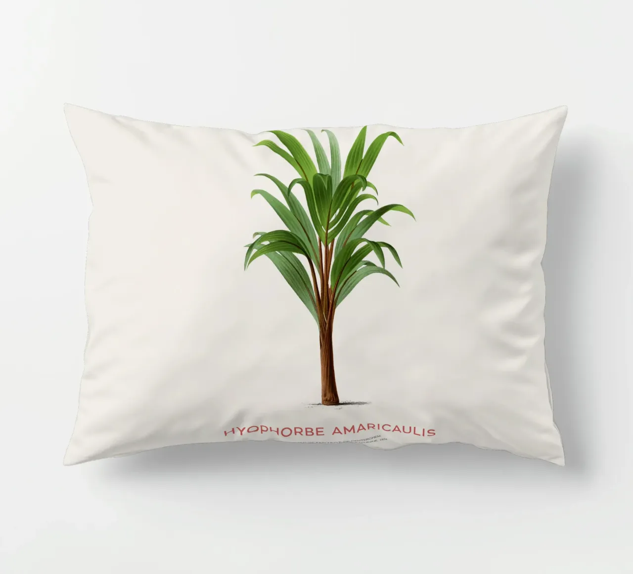 Loneliest palm or Hyophorbe Amaricaulis decorative cushion by Vintagrafica