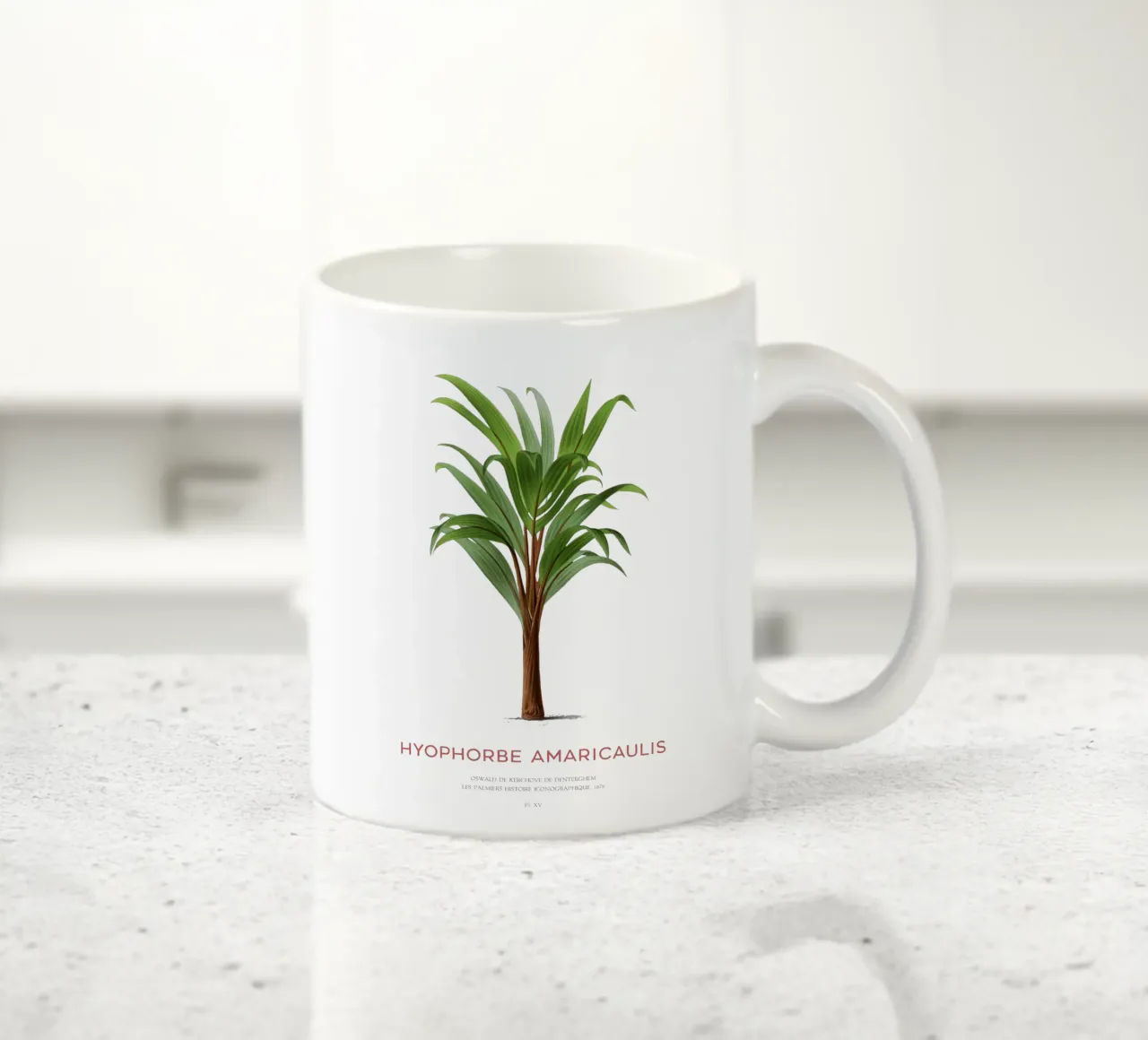 Palma più solitaria o Hyophorbe Amaricaulis tazza in ceramica da Vintagrafica