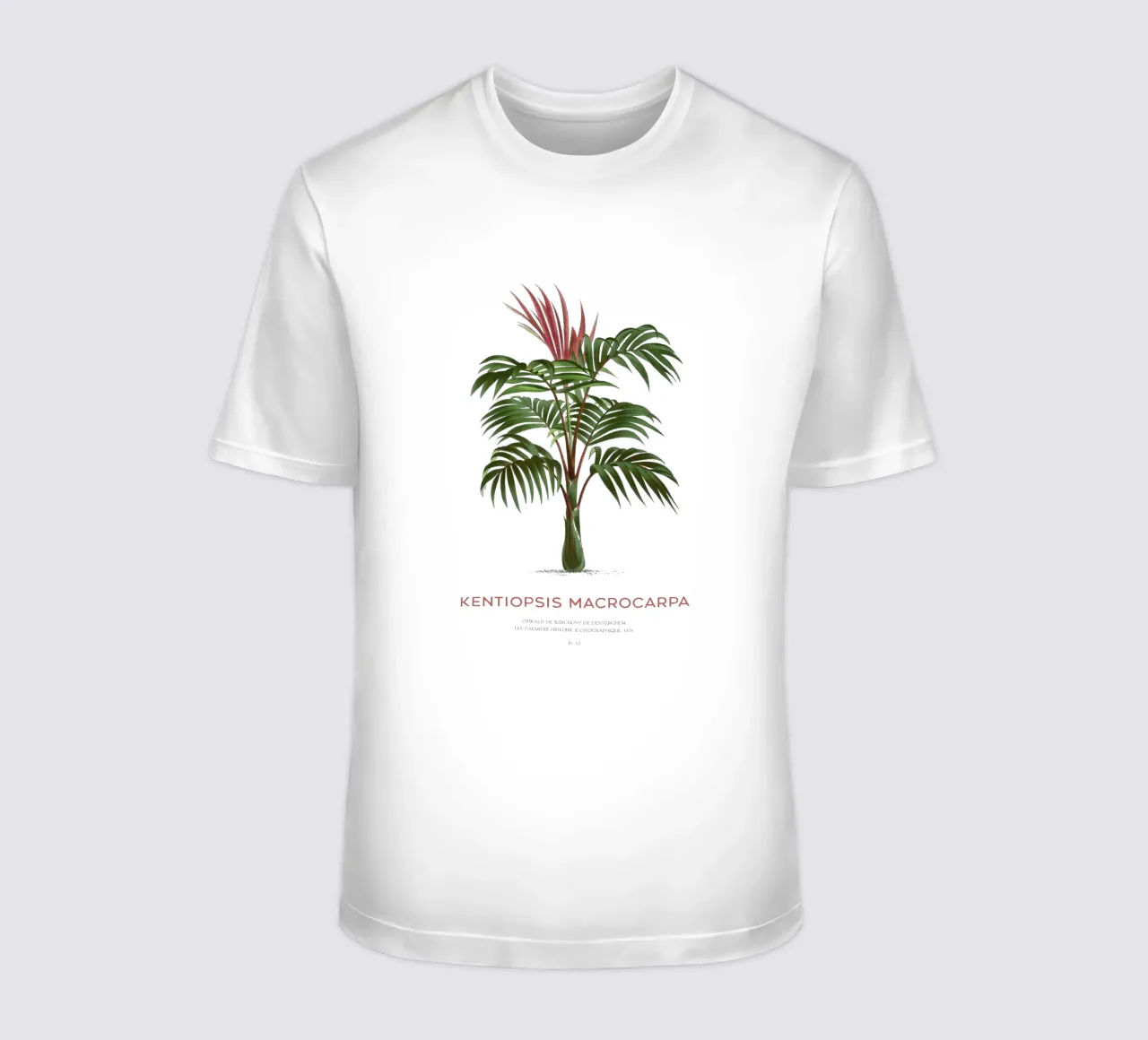 Palma a foglie rosse o Kentiopsis Macrocarpa t-shirt da Vintagrafica