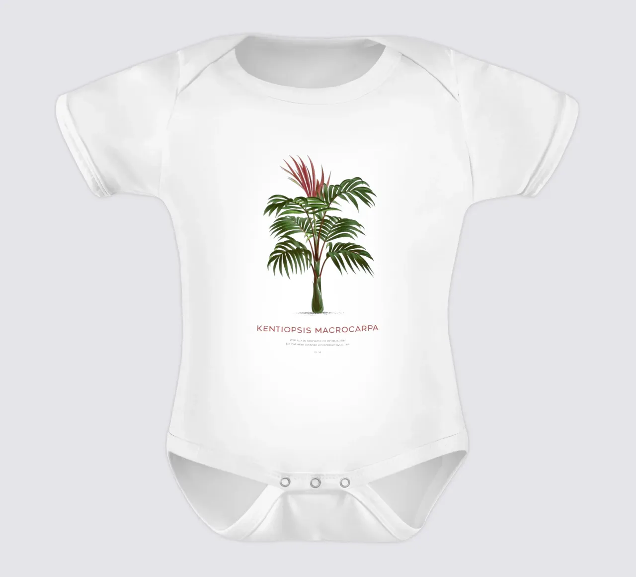 Rotblattpalme oder Kentiopsis Macrocarpa Kurzarm Babybody von Vintagrafica