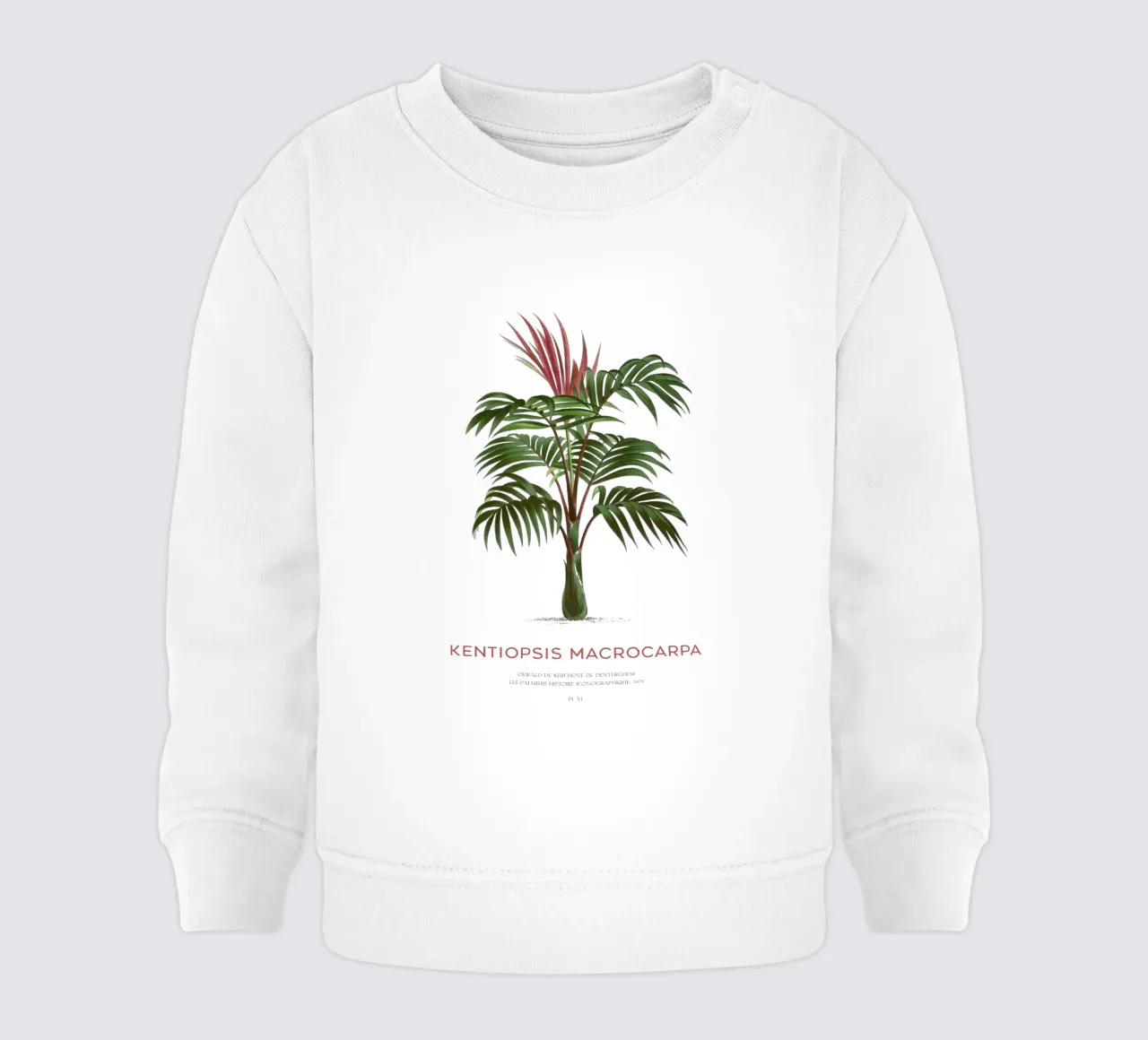 Palma a foglie rosse o Kentiopsis Macrocarpa felpa neonato da Vintagrafica