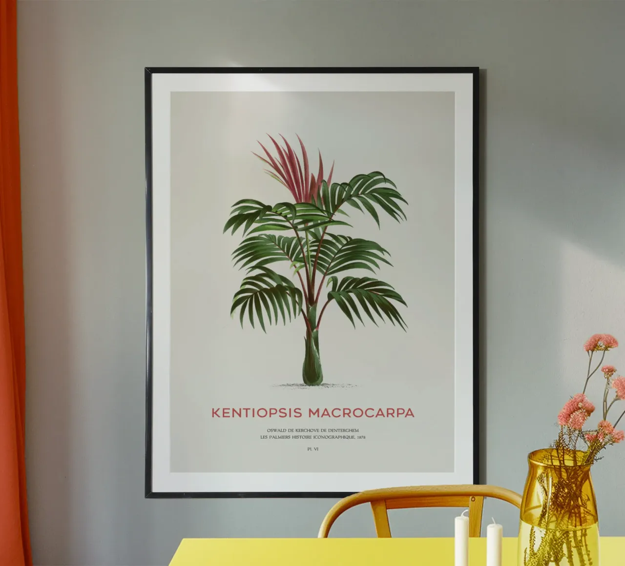 Palma a foglie rosse o Kentiopsis Macrocarpa poster con telaio in plastica da Vintagrafica