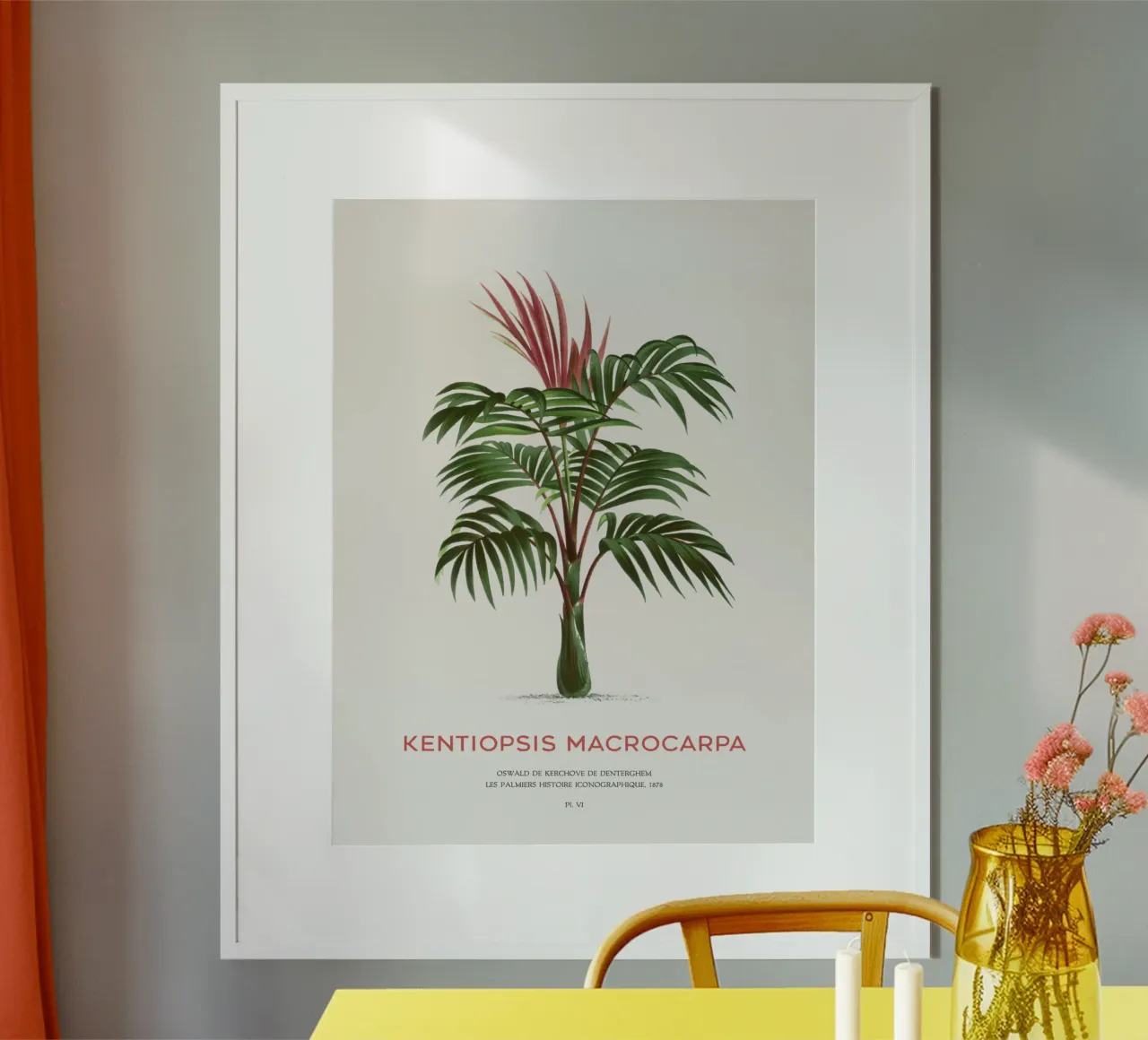 Rotblattpalme oder Kentiopsis Macrocarpa Hahnemühle von Vintagrafica