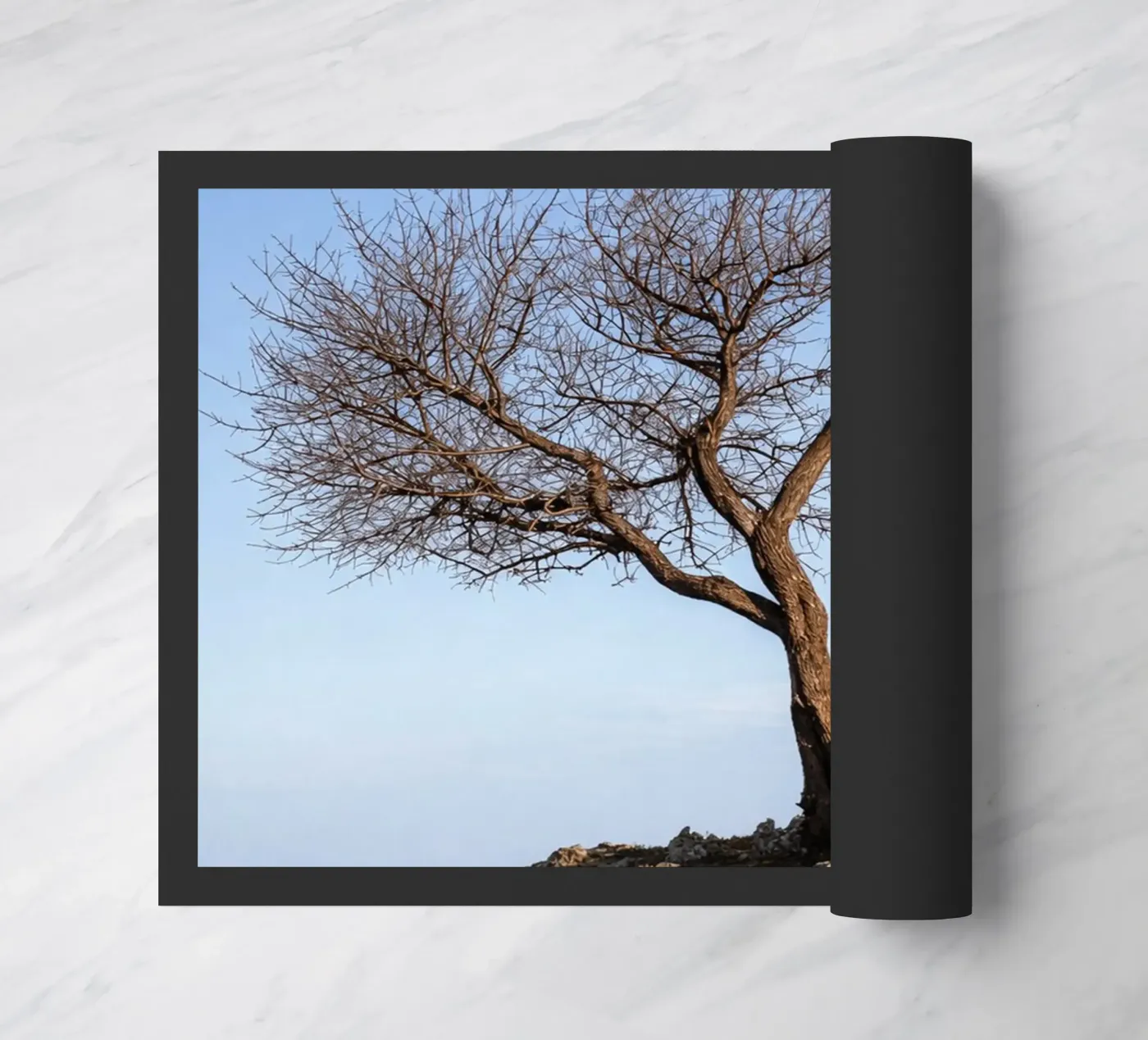 dry tree paillasson de landtengs