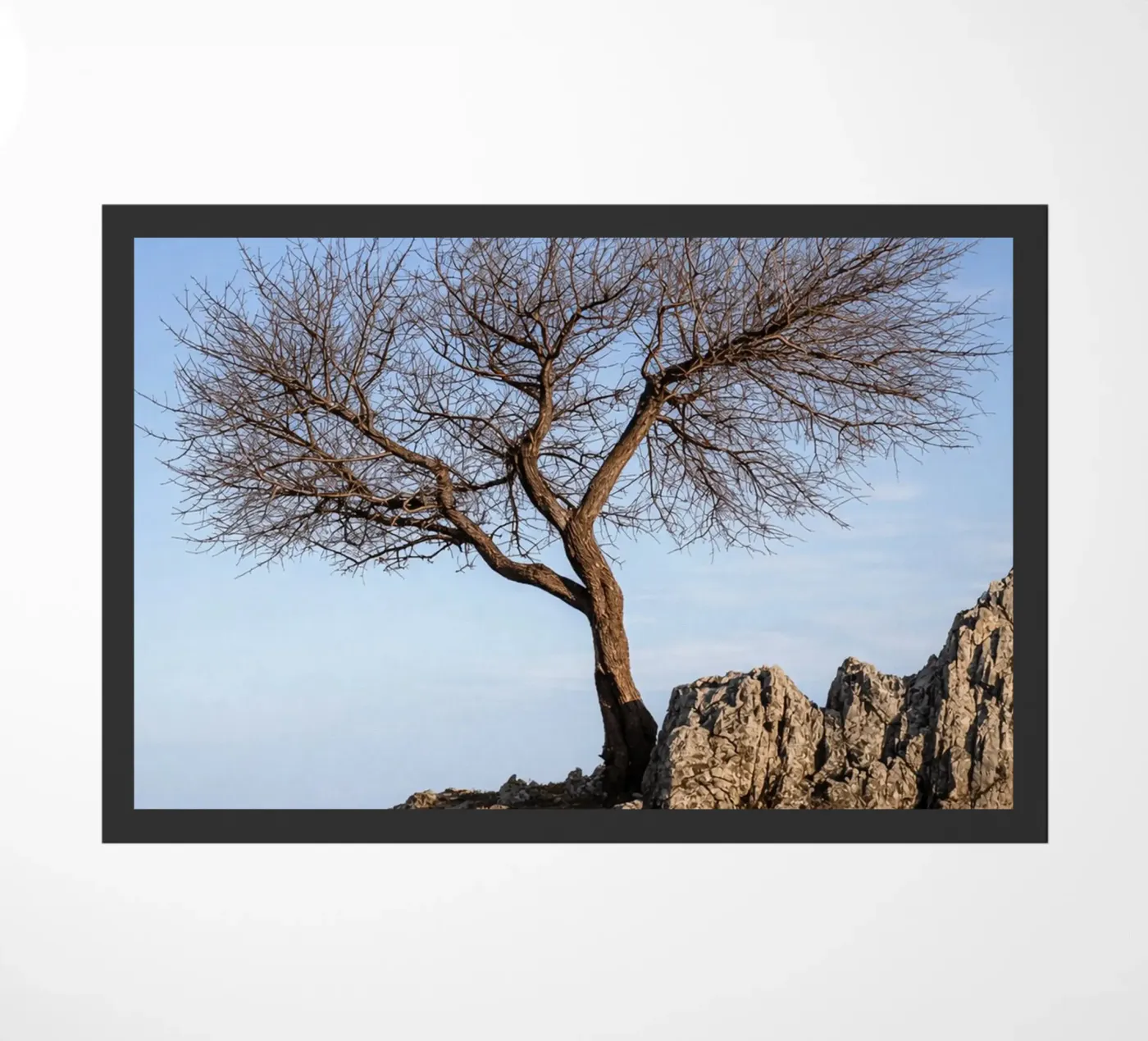 dry tree paillasson de landtengs
