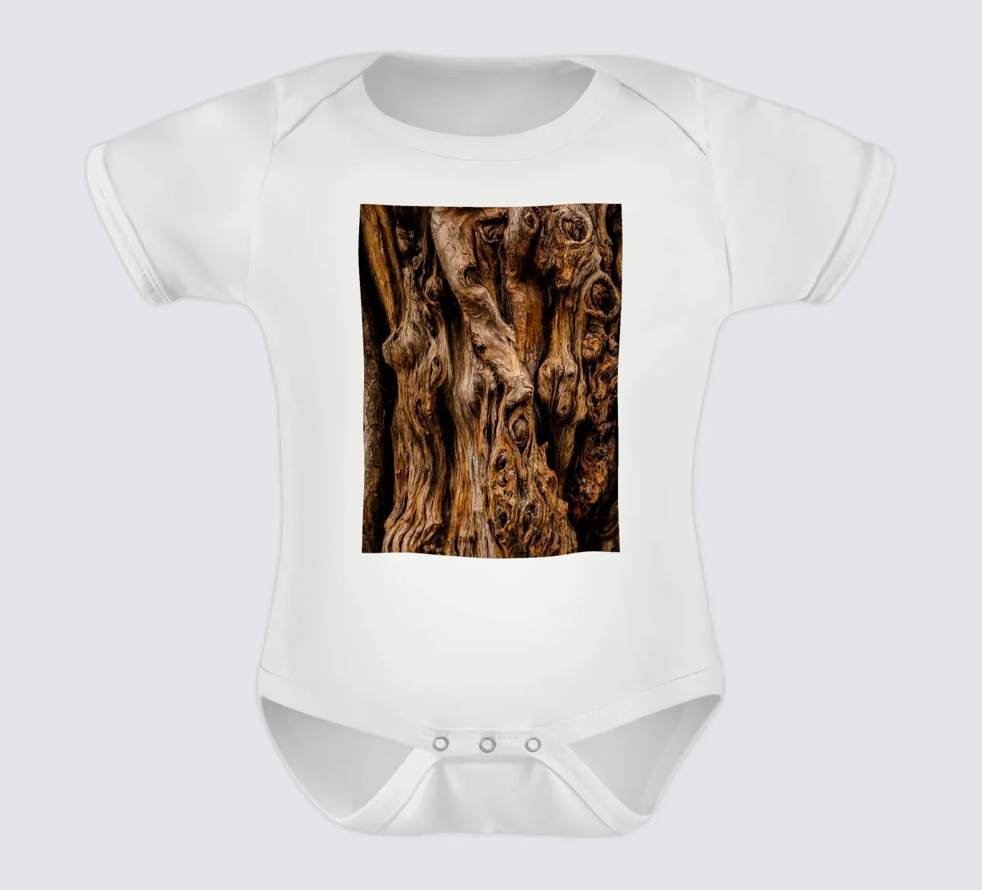 vieil arbre body bébé de landtengs