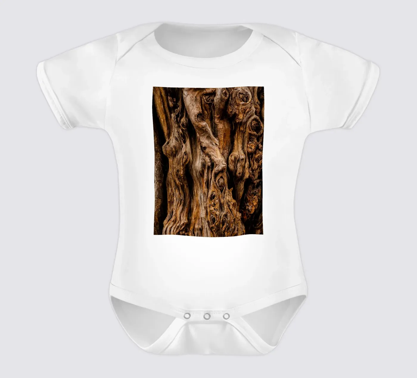 vieil arbre body bébé de landtengs