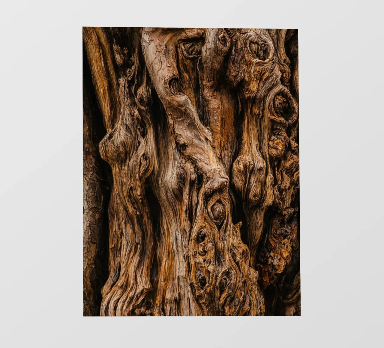 old tree trunk fotobehang van landtengs