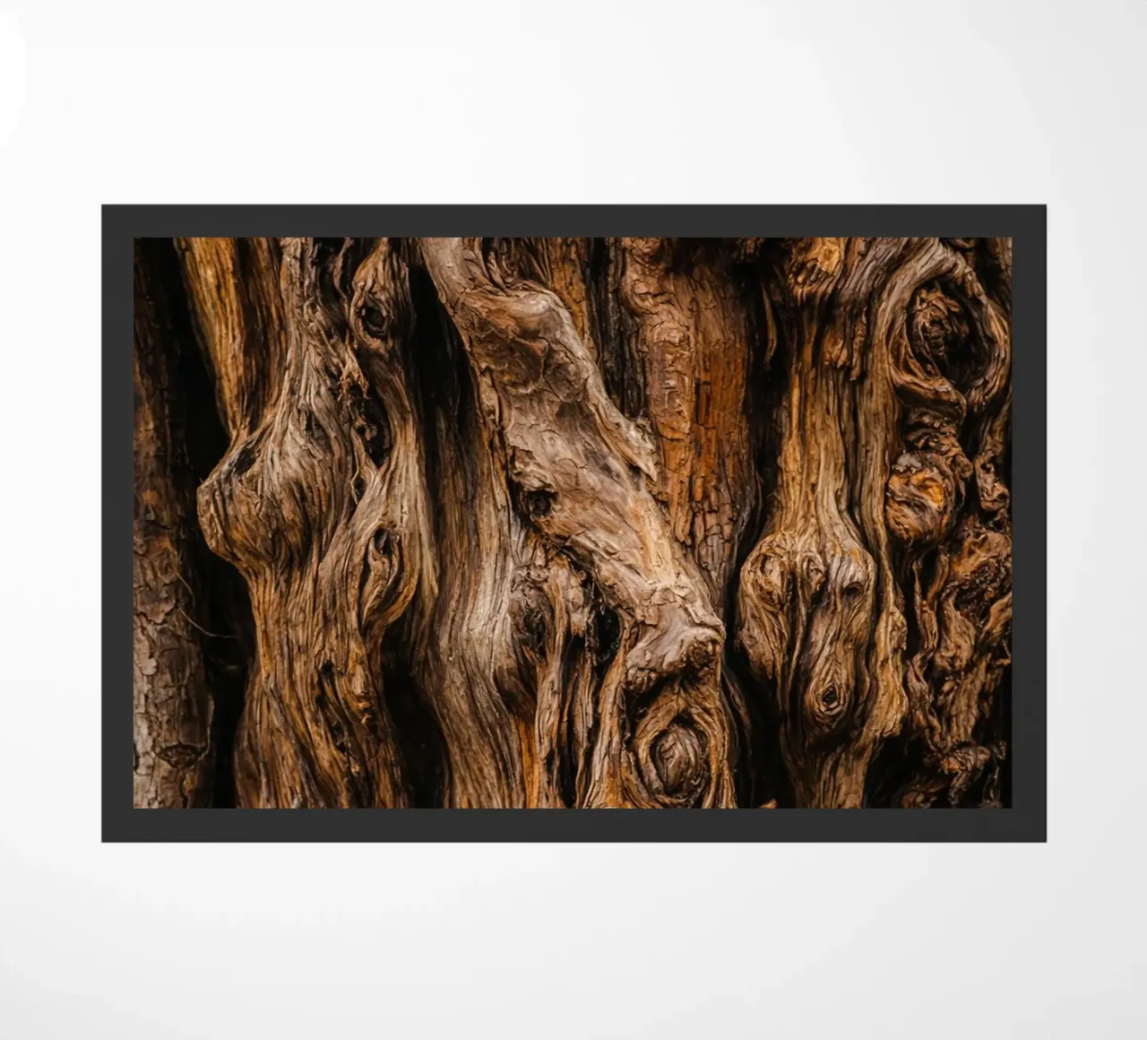 old tree trunk doormat by landtengs