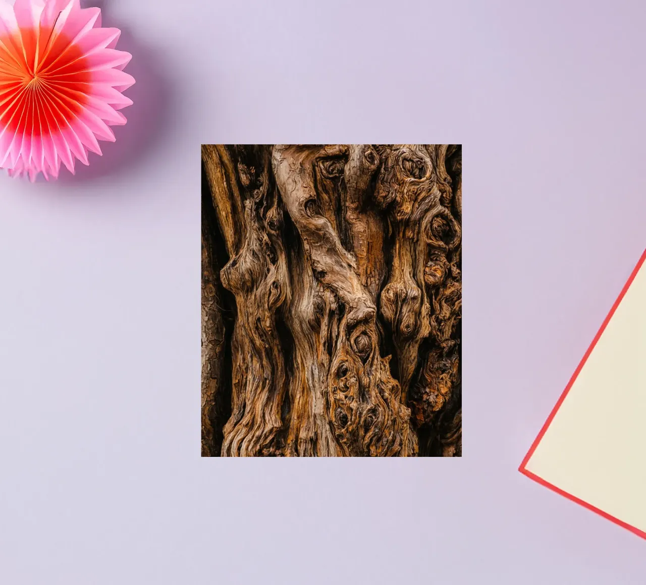 old tree trunk sticker by landtengs