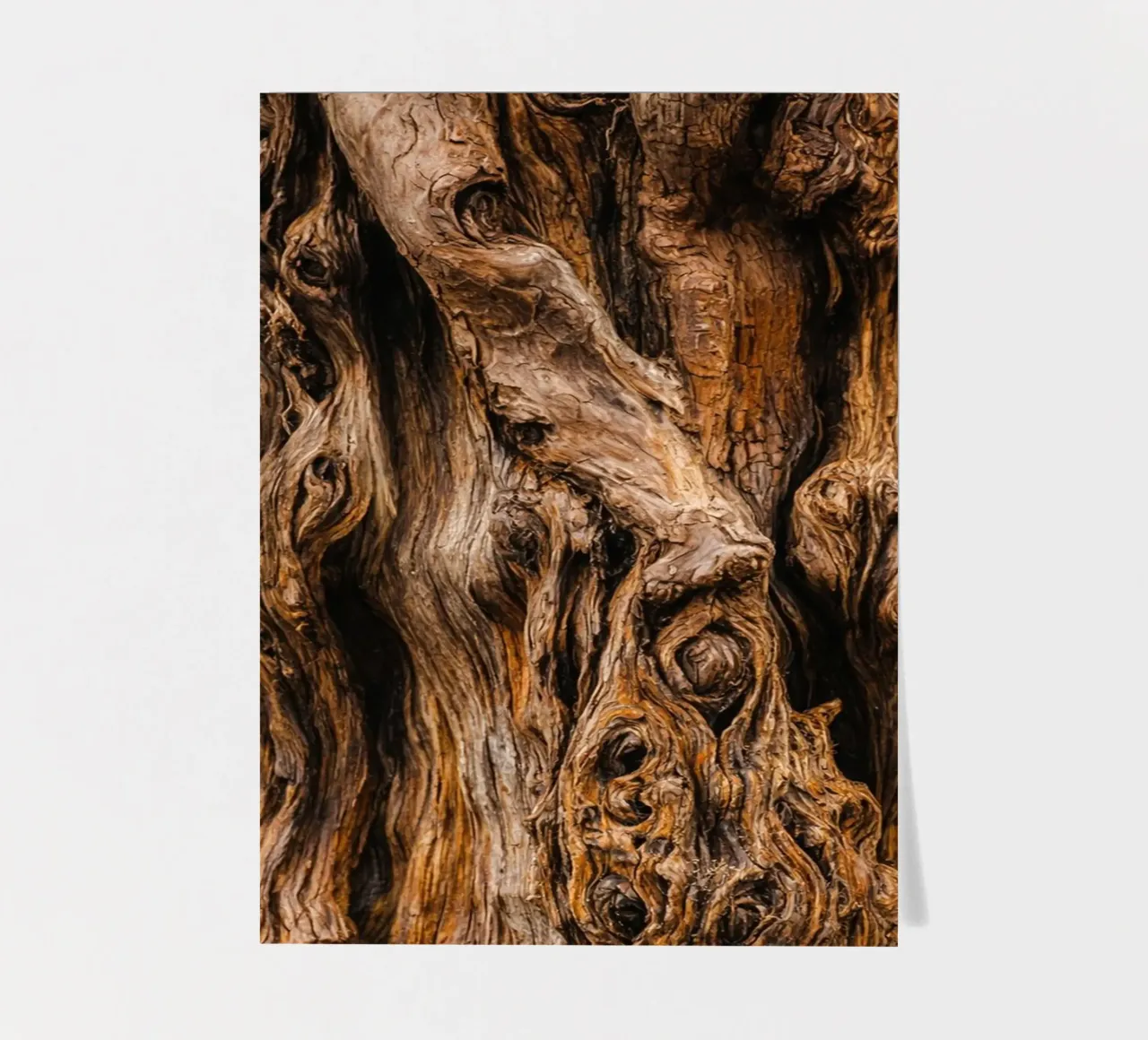 old tree trunk sticker sheet by landtengs