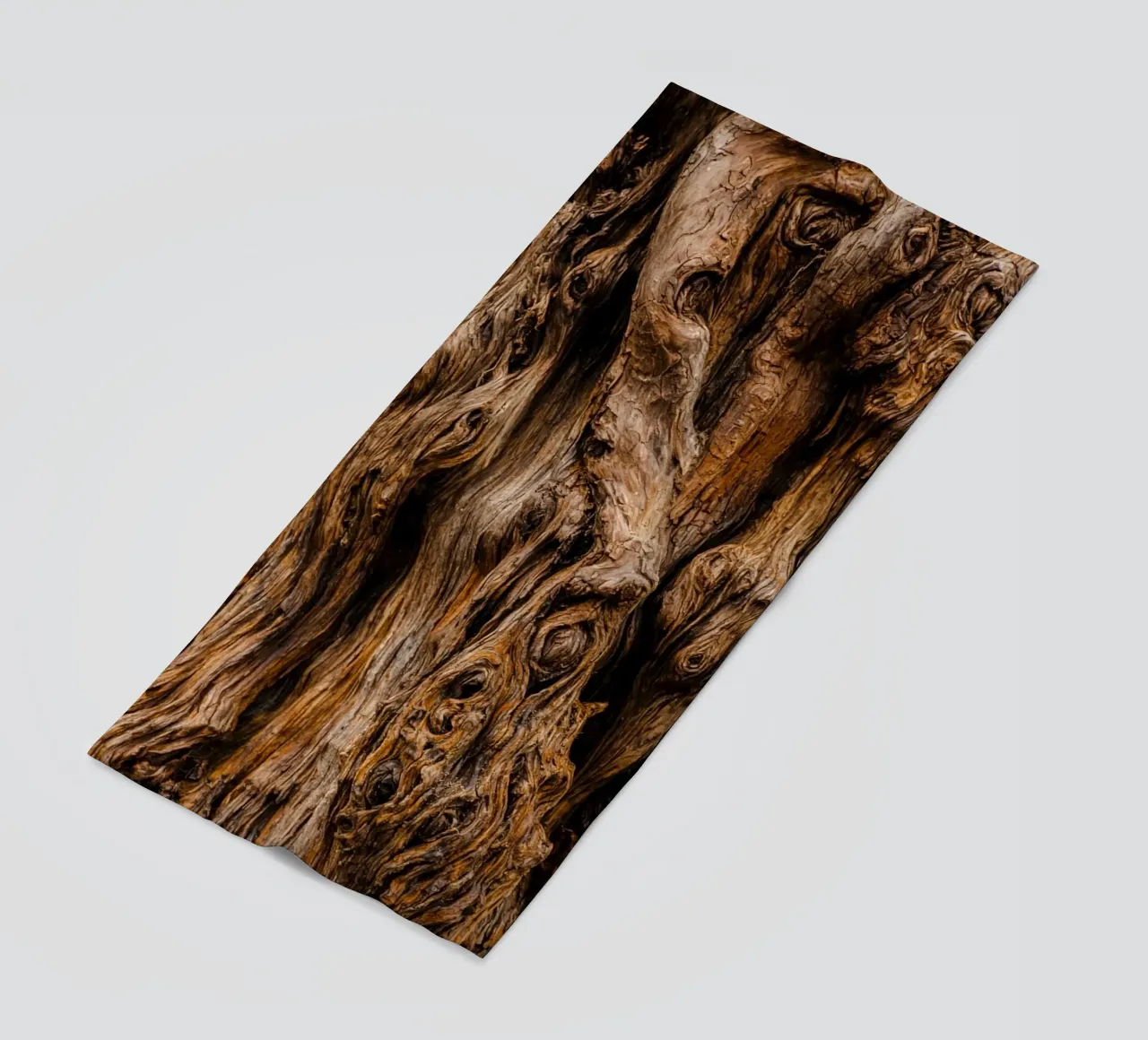 old tree trunk telo mare da landtengs