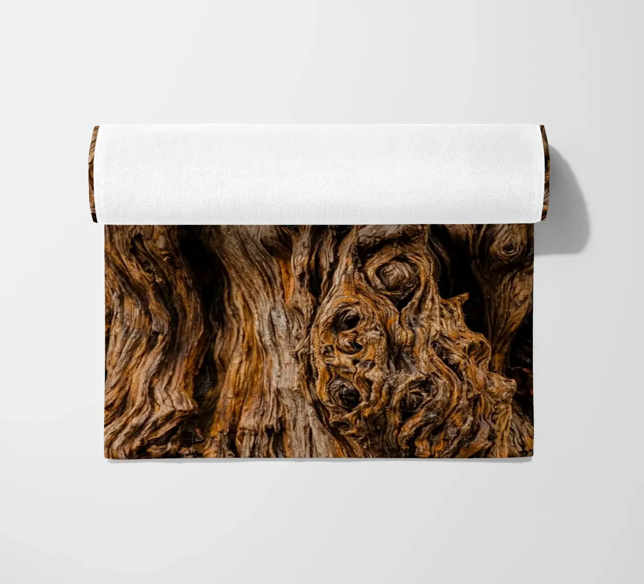 old tree trunk telo mare da landtengs