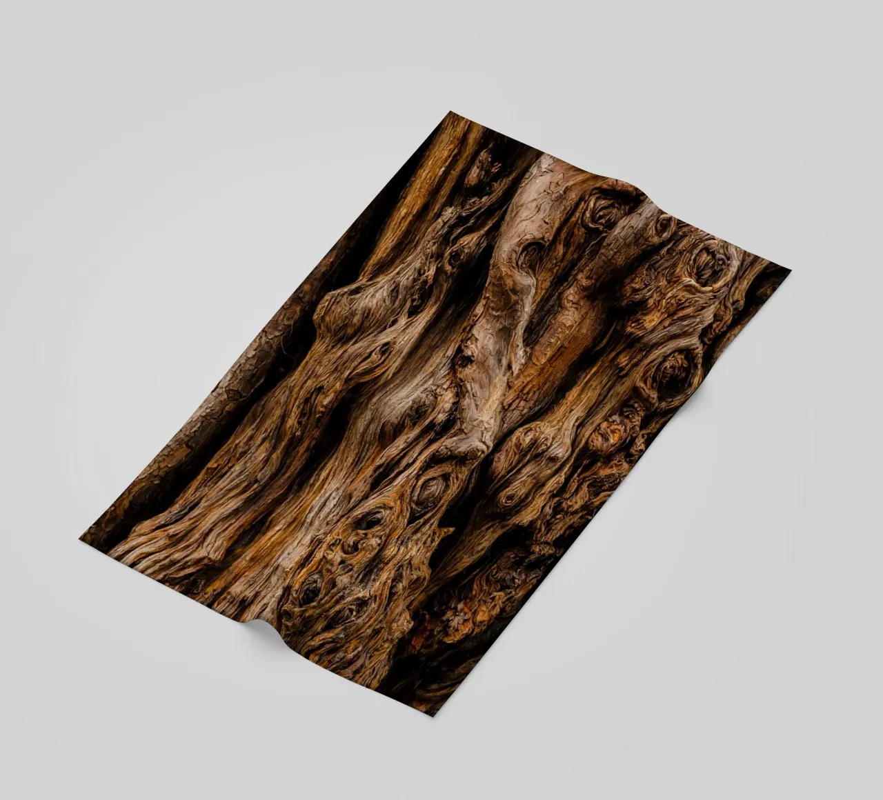 old tree trunk telo mare da landtengs