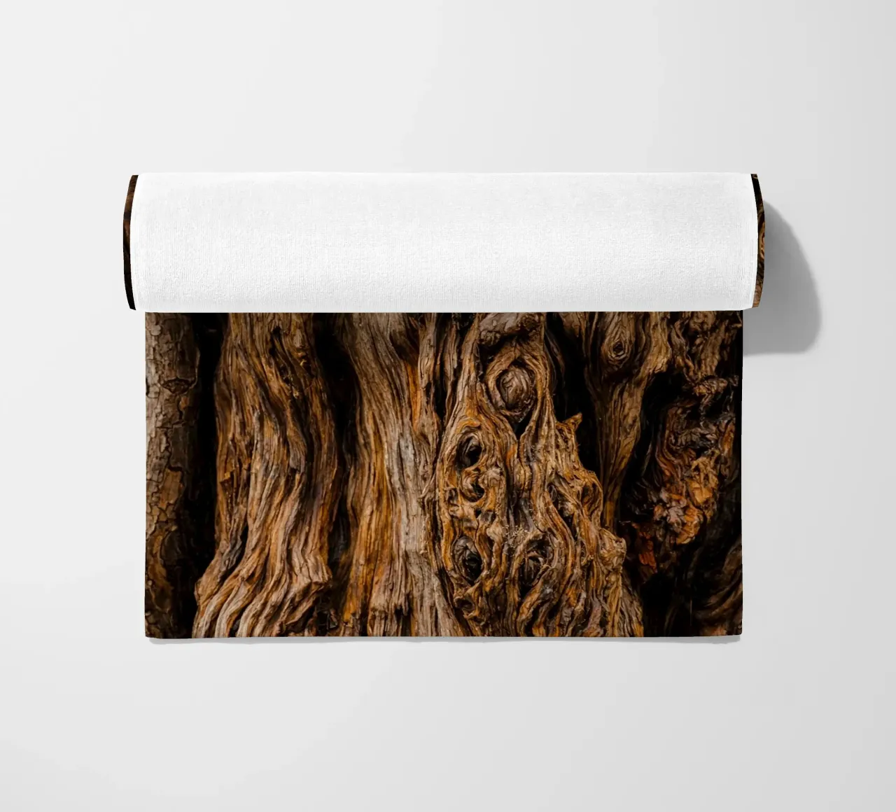 old tree trunk telo mare da landtengs