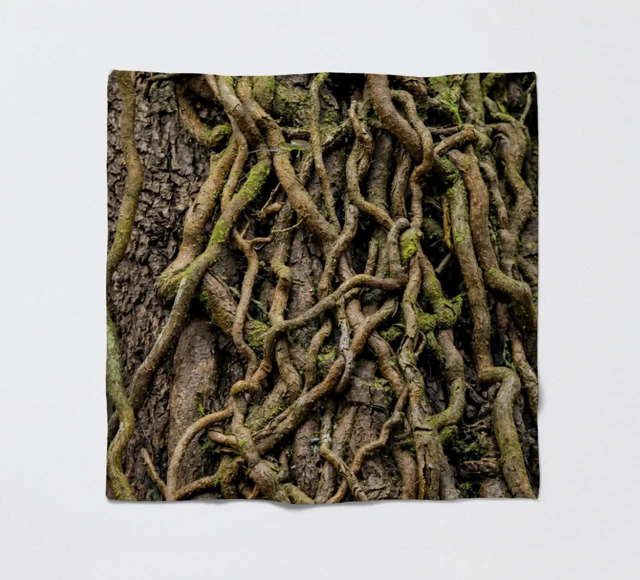 Baumwurzel Fleecedecke von landtengs