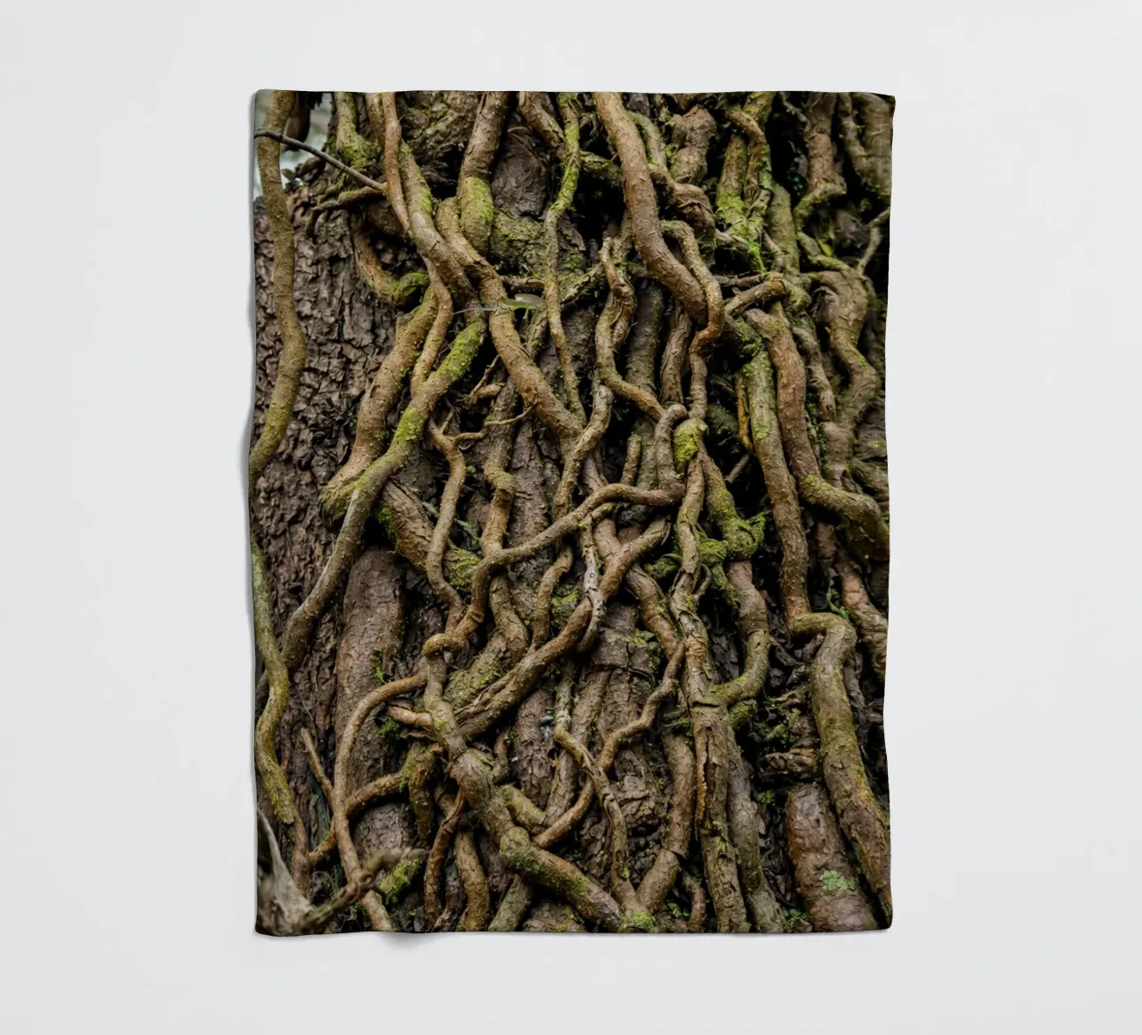 Baumwurzel Fleecedecke von landtengs