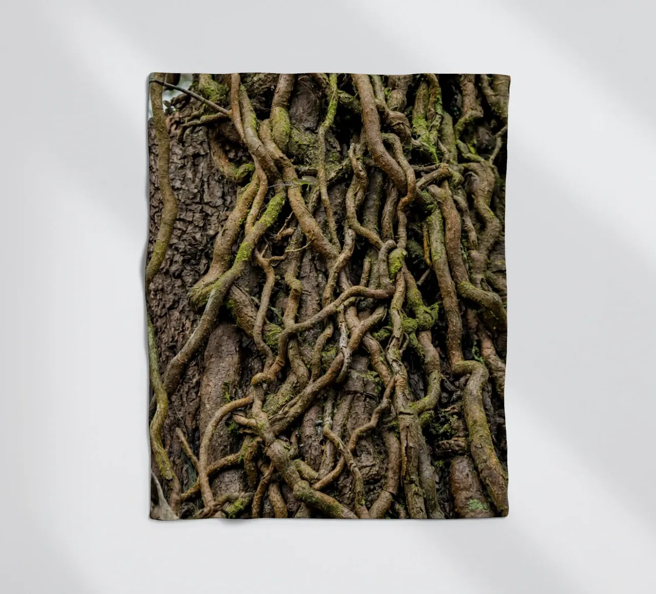 Baumwurzel Fleecedecke von landtengs