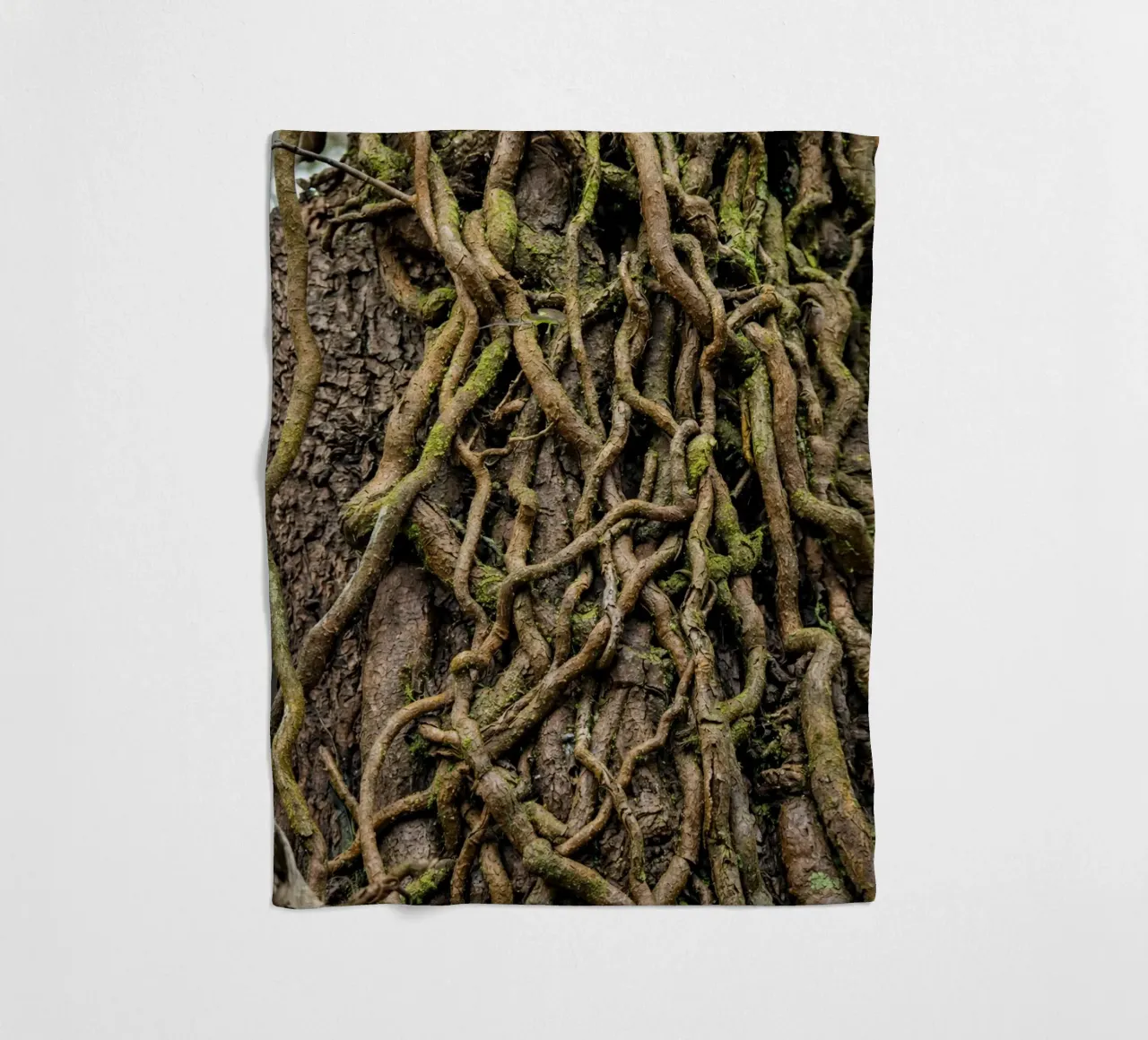 Baumwurzel Fleecedecke von landtengs