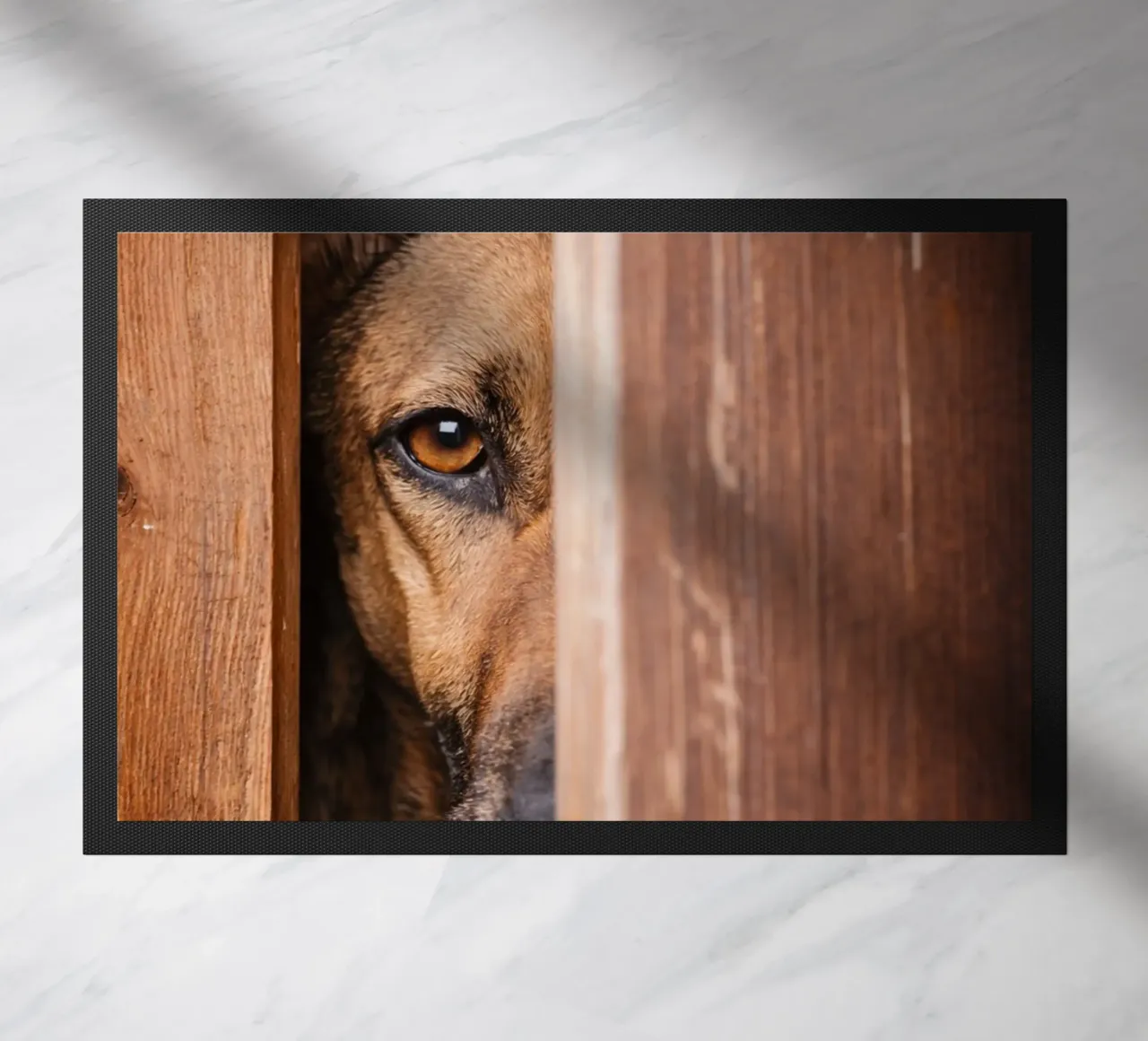 cane spia zerbino da landtengs