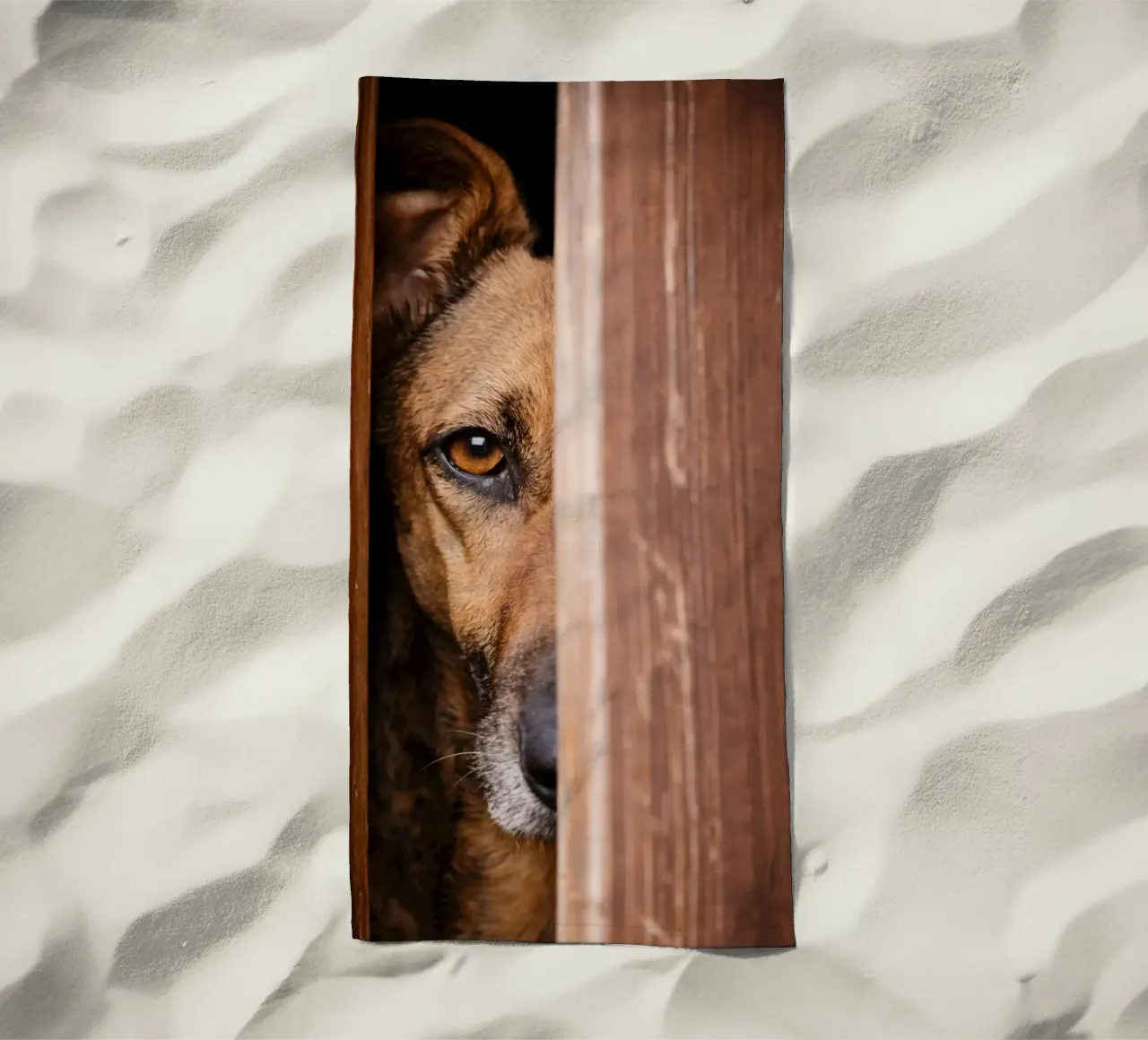 cane spia telo mare da landtengs