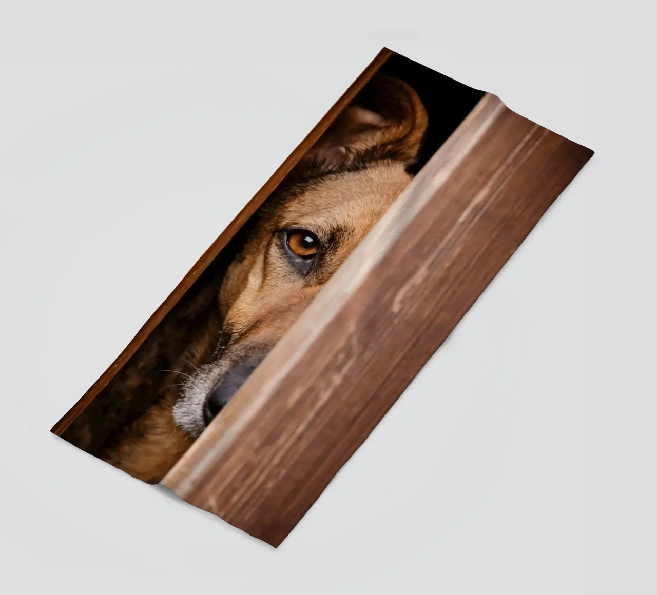 cane spia telo mare da landtengs