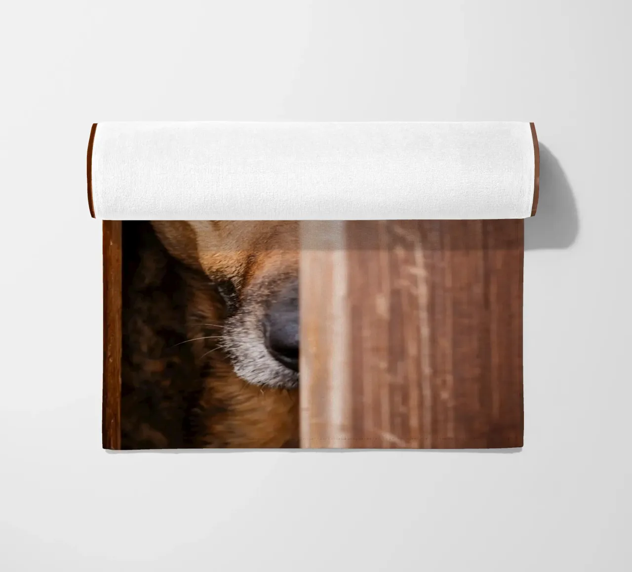 cane spia telo mare da landtengs