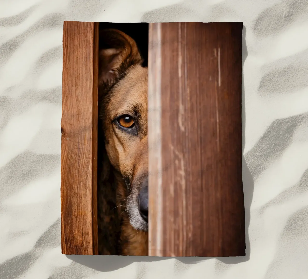 cane spia telo mare da landtengs