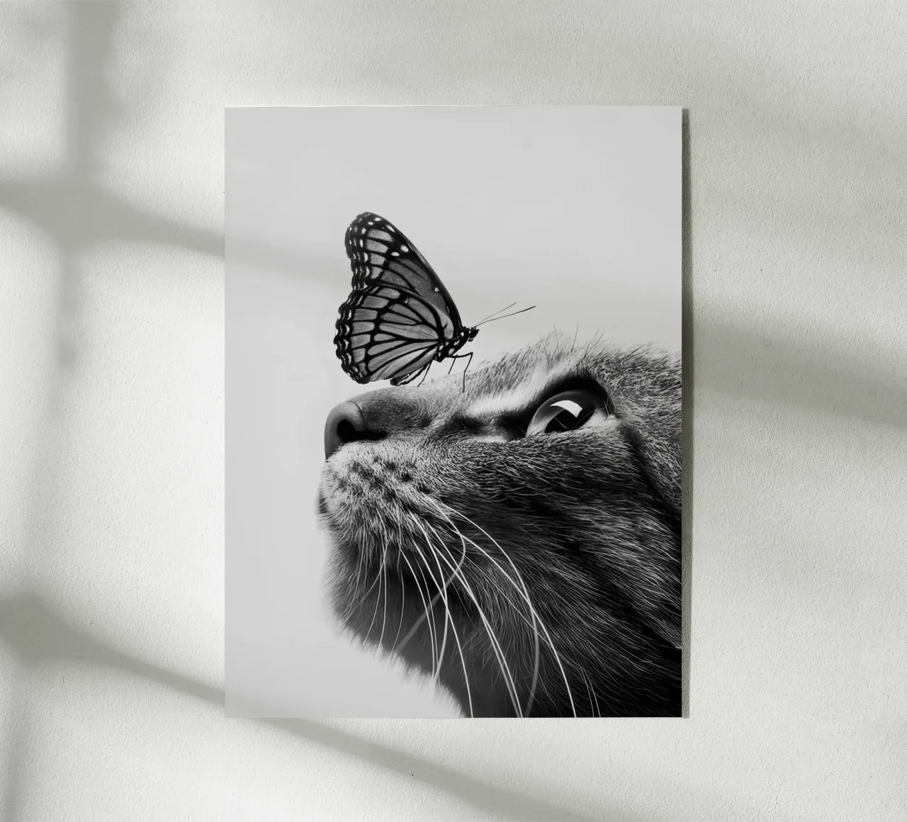Butterfly Cat acrylic glass by memory in photograph