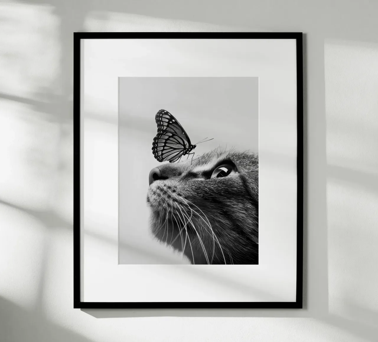Gatto farfalla poster da memory in photograph