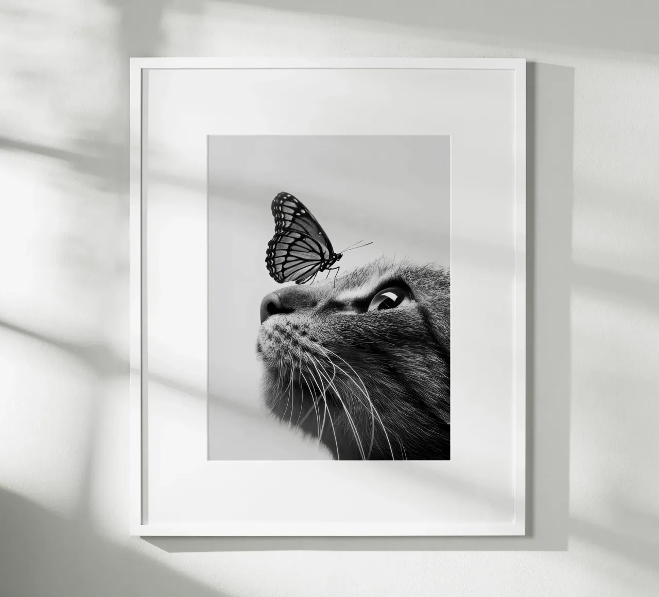 Gatto farfalla poster da memory in photograph