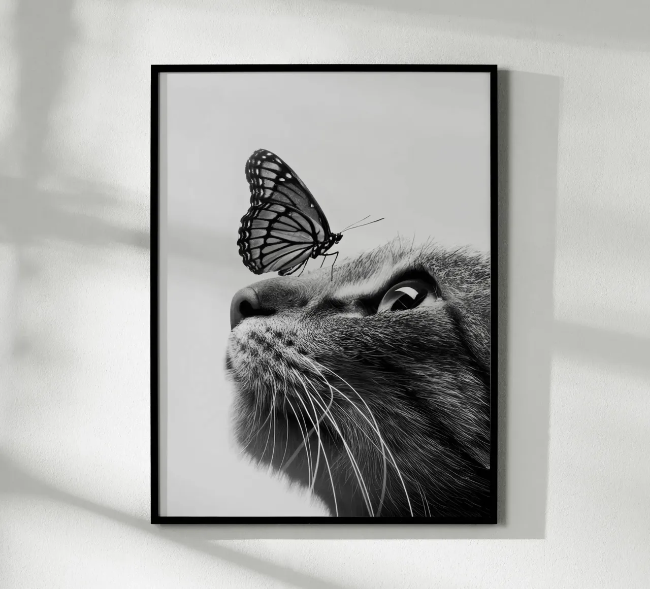 Gatto farfalla poster da memory in photograph