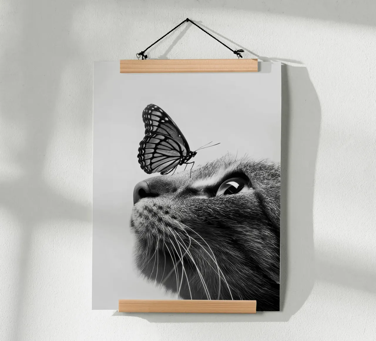 Gatto farfalla poster da memory in photograph