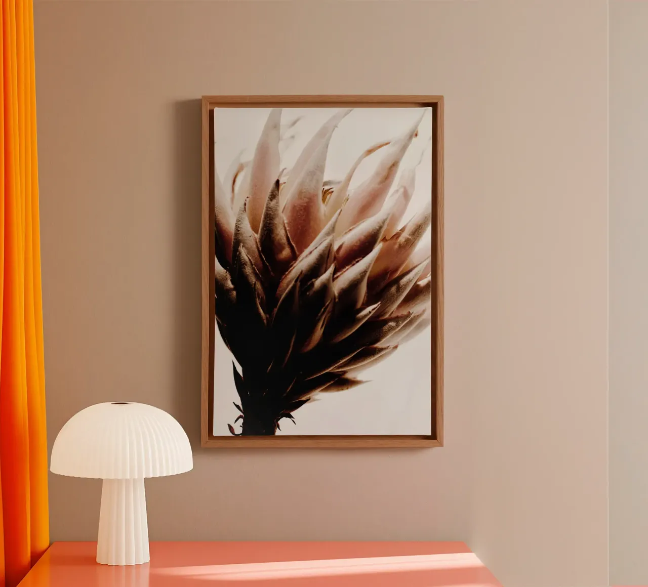 Protea tela da Pictufy Photography