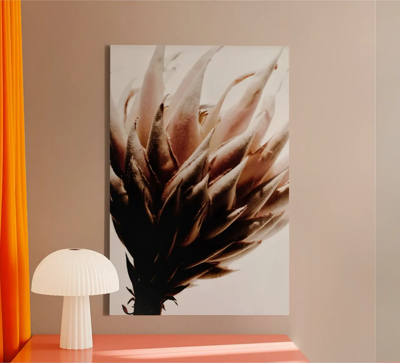 Protea tela da Pictufy Photography