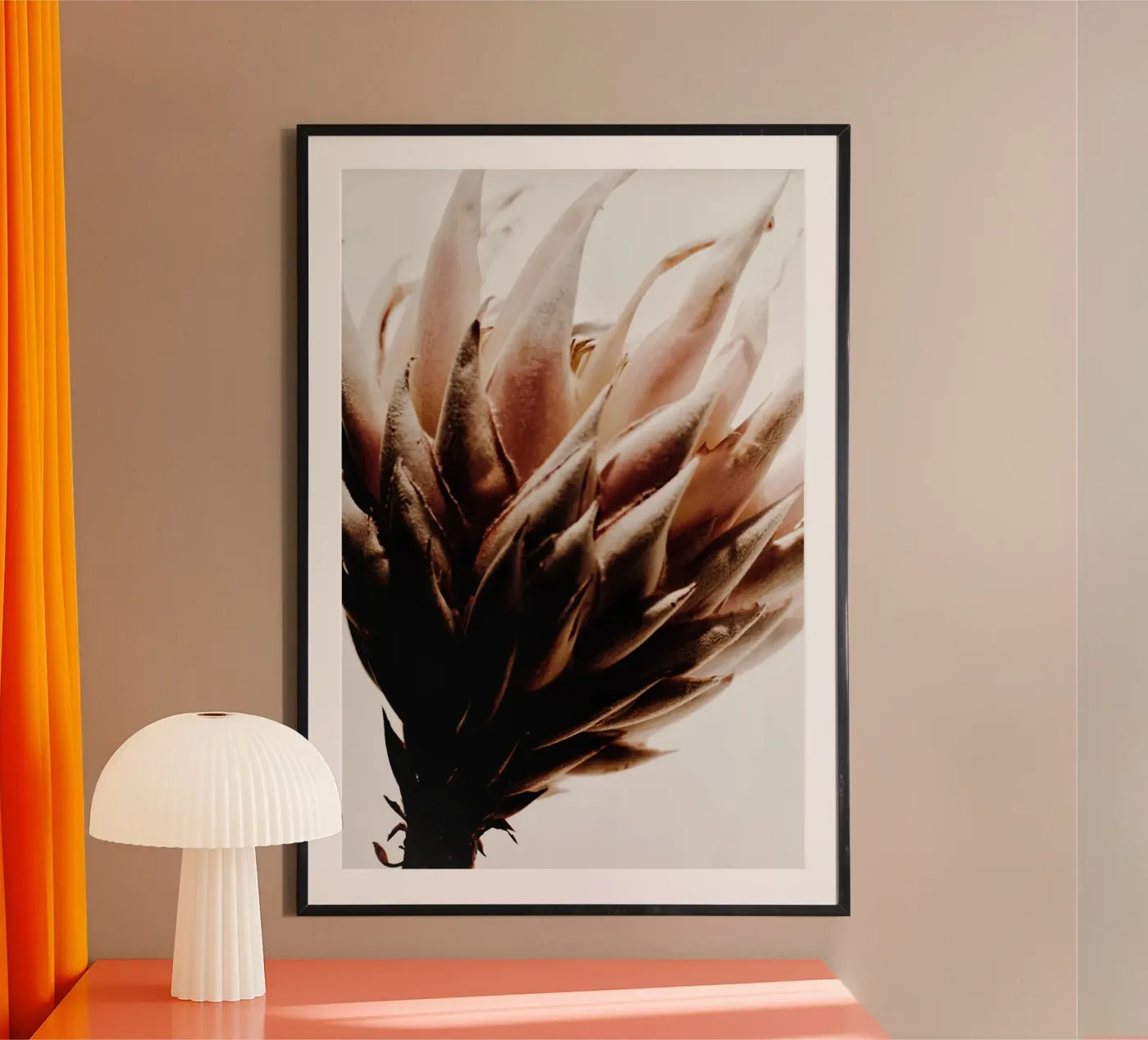 Protea Poster von Pictufy Photography