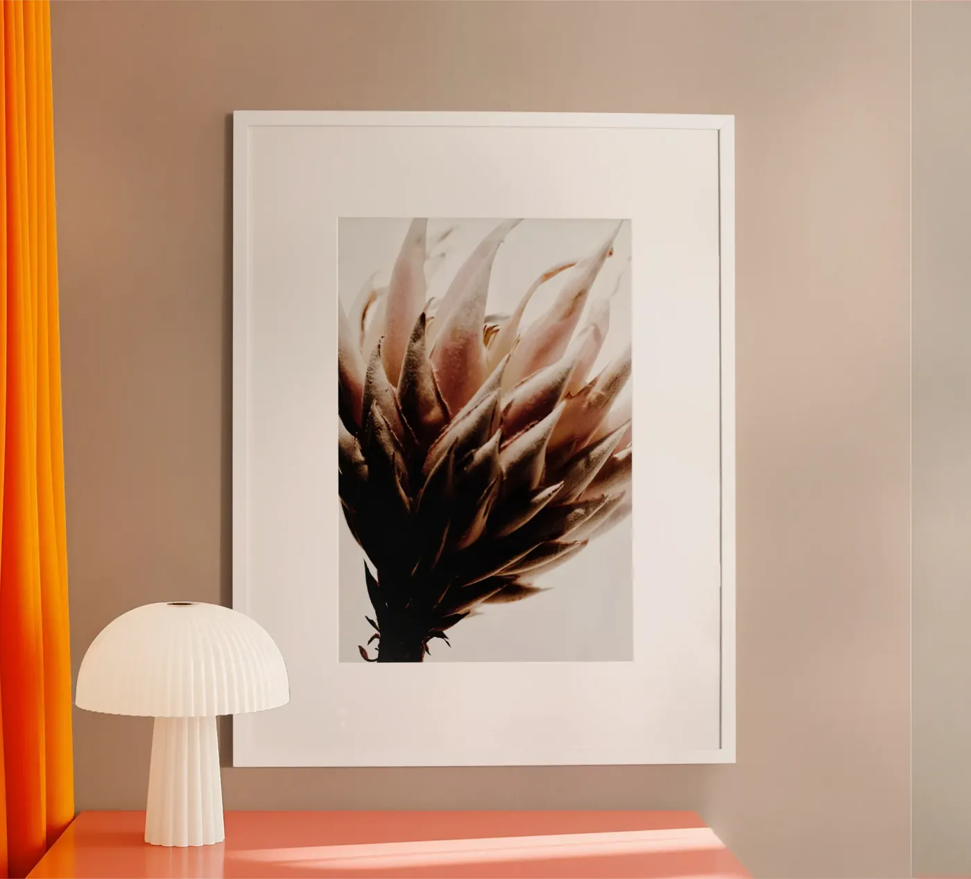 Protea Poster von Pictufy Photography