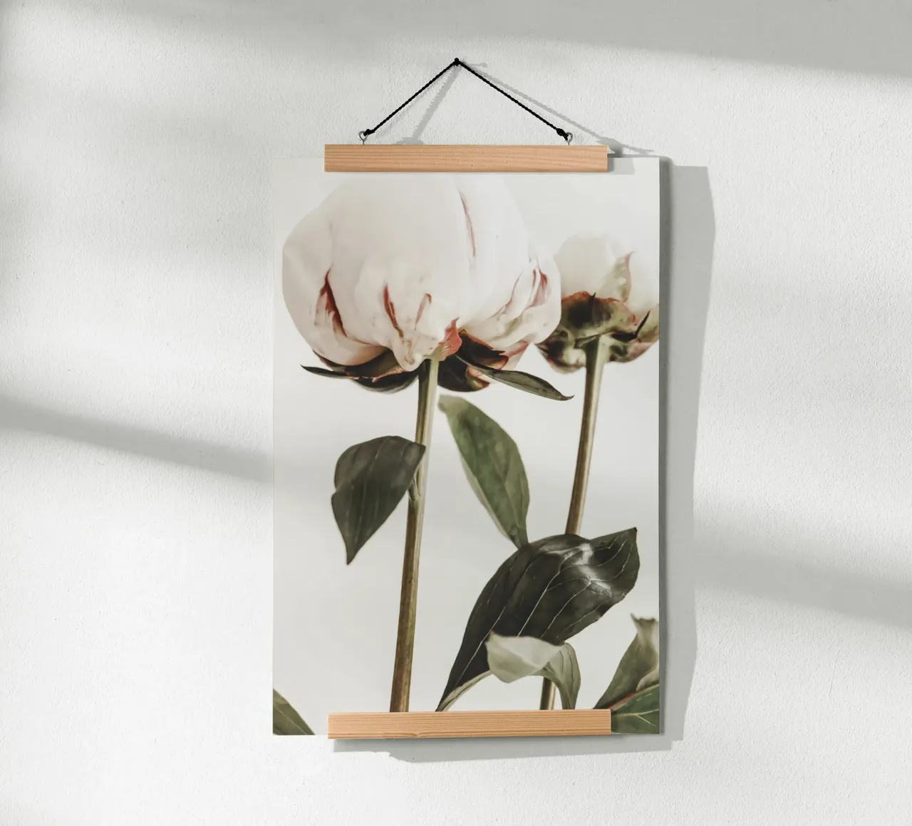 Peonies poster by Pictufy Photography